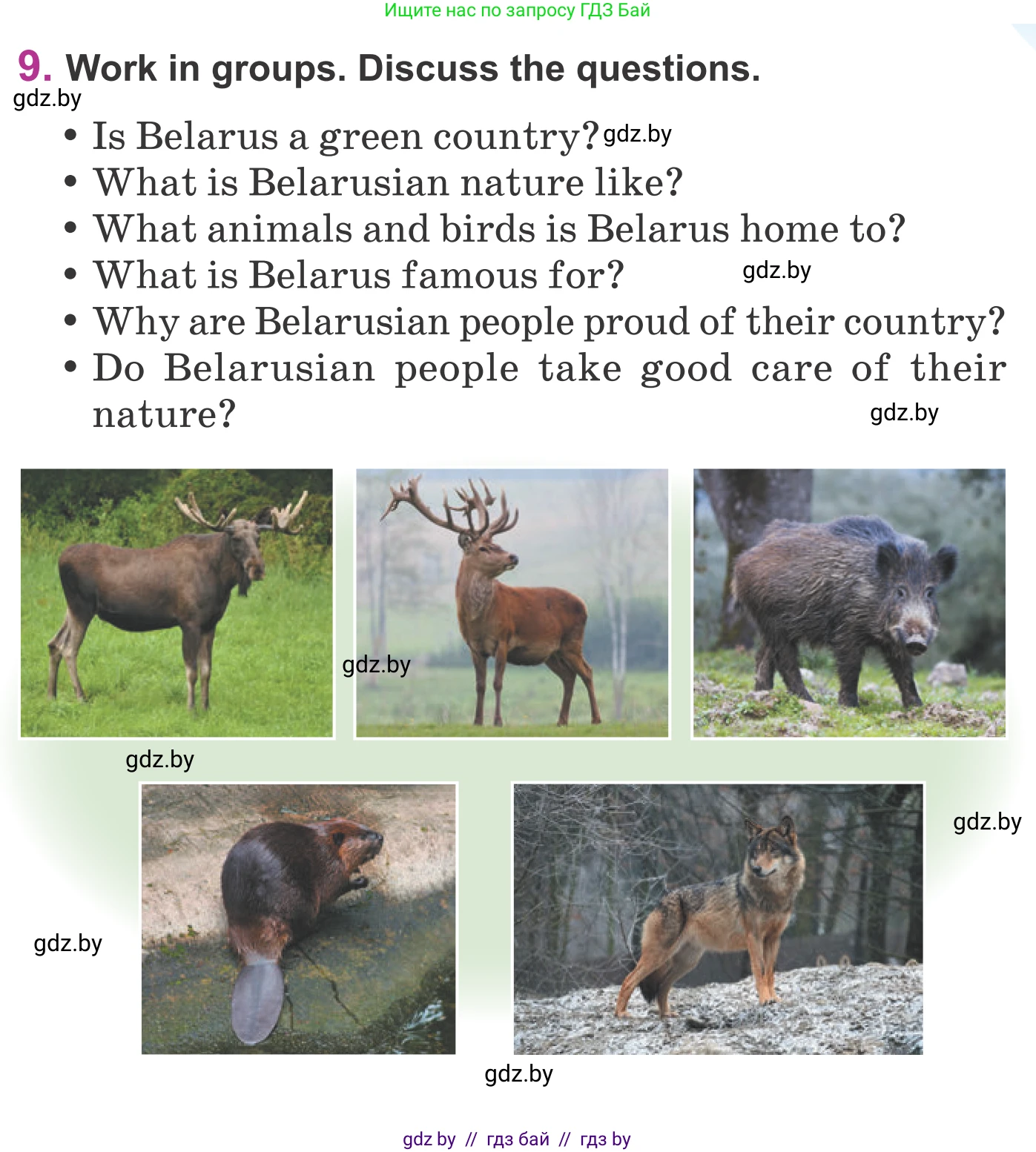 Английский язык (english), 6 класс Учебник, авторы: Демченко Наталья Валентиновна, Севрюкова Татьяна Юрьевна, Юхнель Наталья Валентиновна, Наумова Елена Георгиевна, Рыбалко О Н, Манешина А В, Маслёнченко Н А, издательство Вышэйшая школа, Минск, 2018, красного цвета, Часть 2, страница 51, номер 9, Условие