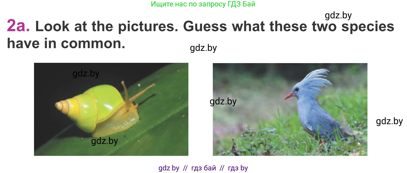 Английский язык (english), 6 класс Учебник, авторы: Демченко Наталья Валентиновна, Севрюкова Татьяна Юрьевна, Юхнель Наталья Валентиновна, Наумова Елена Георгиевна, Рыбалко О Н, Манешина А В, Маслёнченко Н А, издательство Вышэйшая школа, Минск, 2018, красного цвета, Часть 2, страница 104, номер 2, Условие