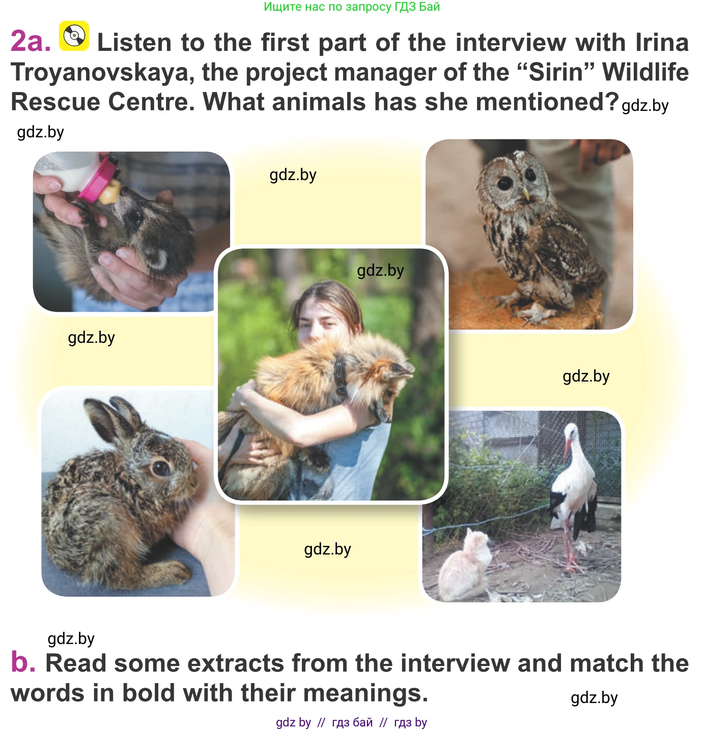 Английский язык (english), 6 класс Учебник, авторы: Демченко Наталья Валентиновна, Севрюкова Татьяна Юрьевна, Юхнель Наталья Валентиновна, Наумова Елена Георгиевна, Рыбалко О Н, Манешина А В, Маслёнченко Н А, издательство Вышэйшая школа, Минск, 2018, красного цвета, Часть 2, страница 112, номер 2, Условие