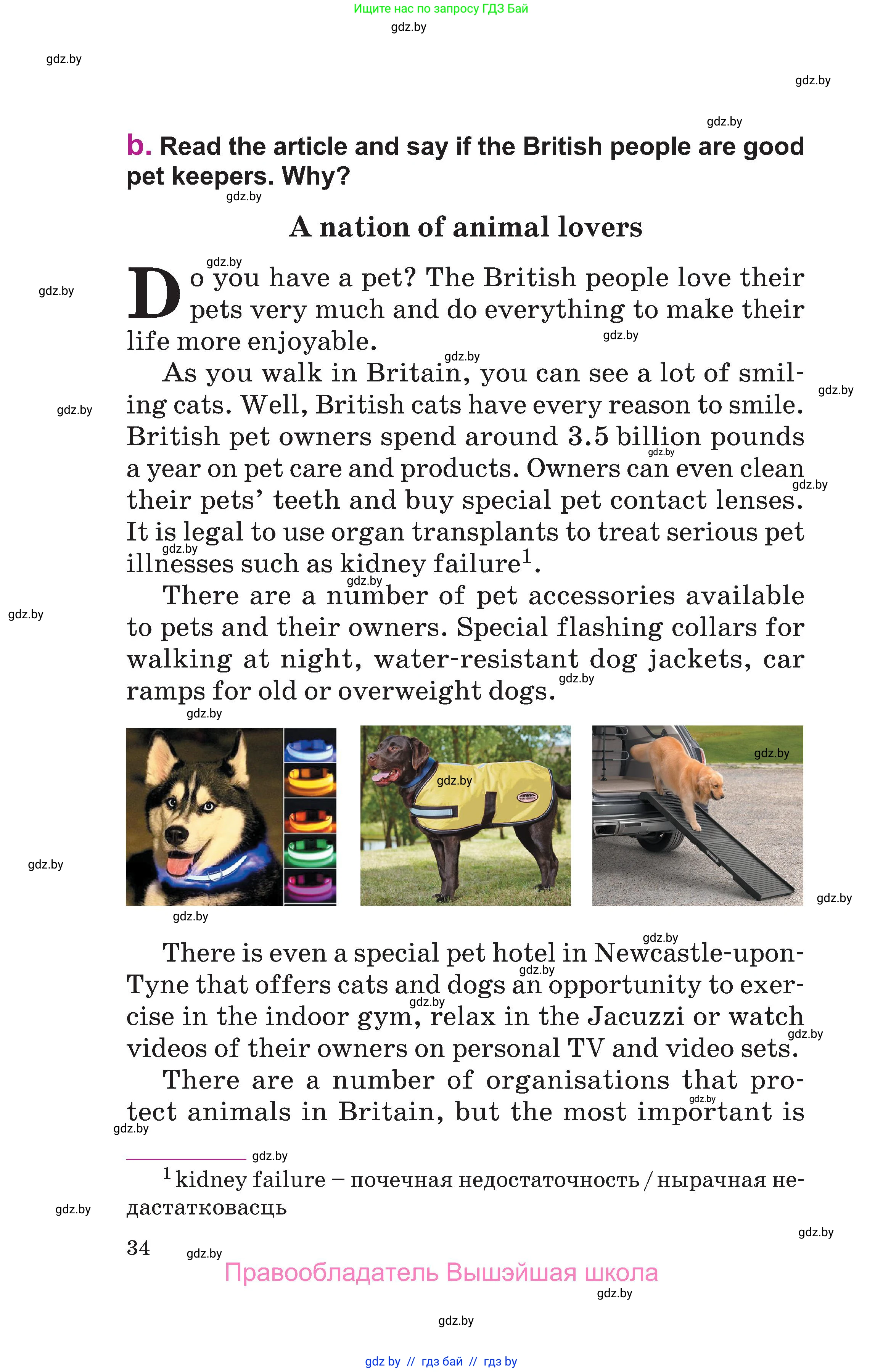 Английский язык (english), 6 класс Учебник, авторы: Демченко Наталья Валентиновна, Севрюкова Татьяна Юрьевна, Юхнель Наталья Валентиновна, Наумова Елена Георгиевна, Рыбалко О Н, Манешина А В, Маслёнченко Н А, издательство Вышэйшая школа, Минск, 2018, красного цвета, страница 34