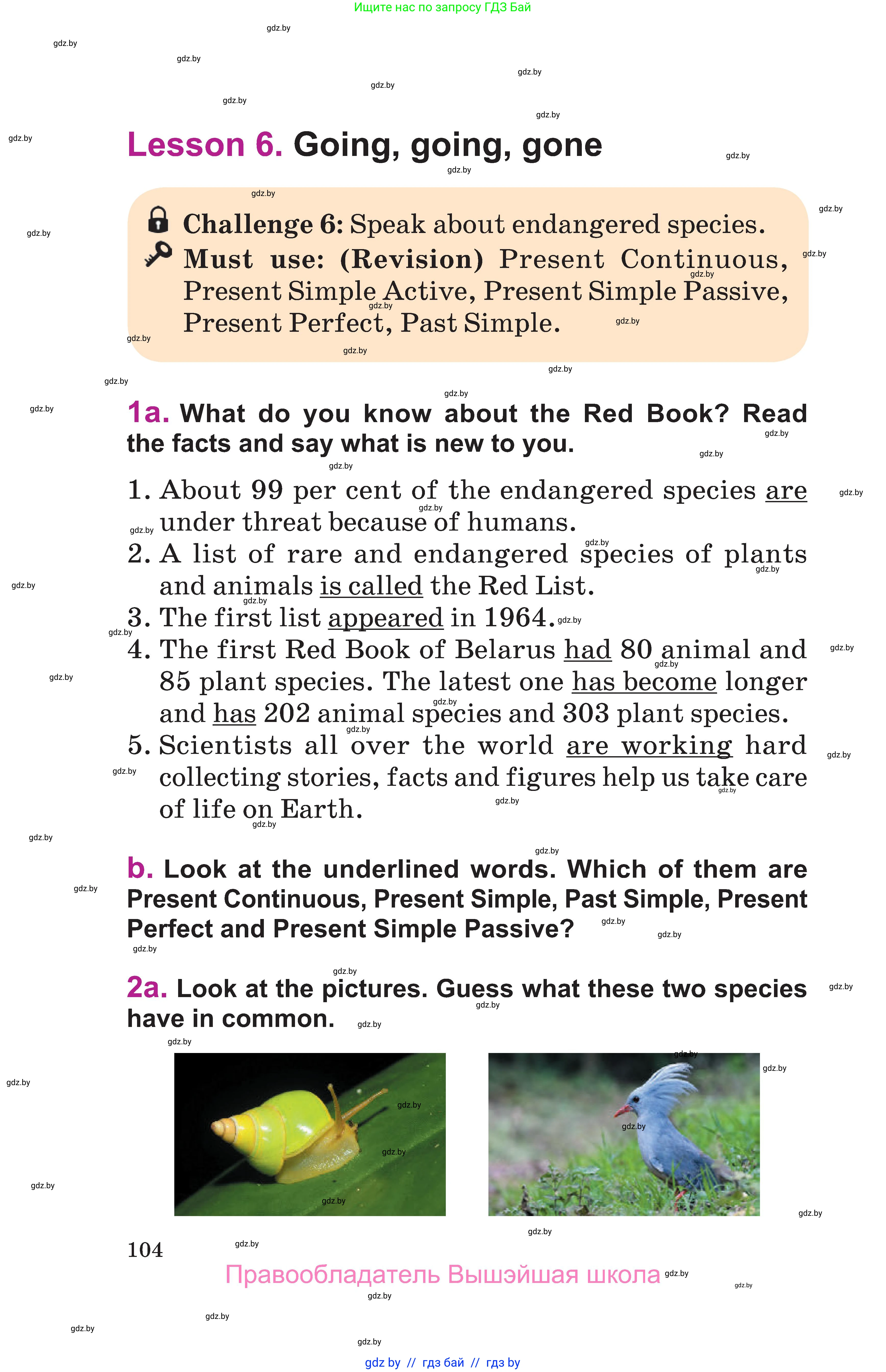 Английский язык (english), 6 класс Учебник, авторы: Демченко Наталья Валентиновна, Севрюкова Татьяна Юрьевна, Юхнель Наталья Валентиновна, Наумова Елена Георгиевна, Рыбалко О Н, Манешина А В, Маслёнченко Н А, издательство Вышэйшая школа, Минск, 2018, красного цвета, Часть 2, страница 104