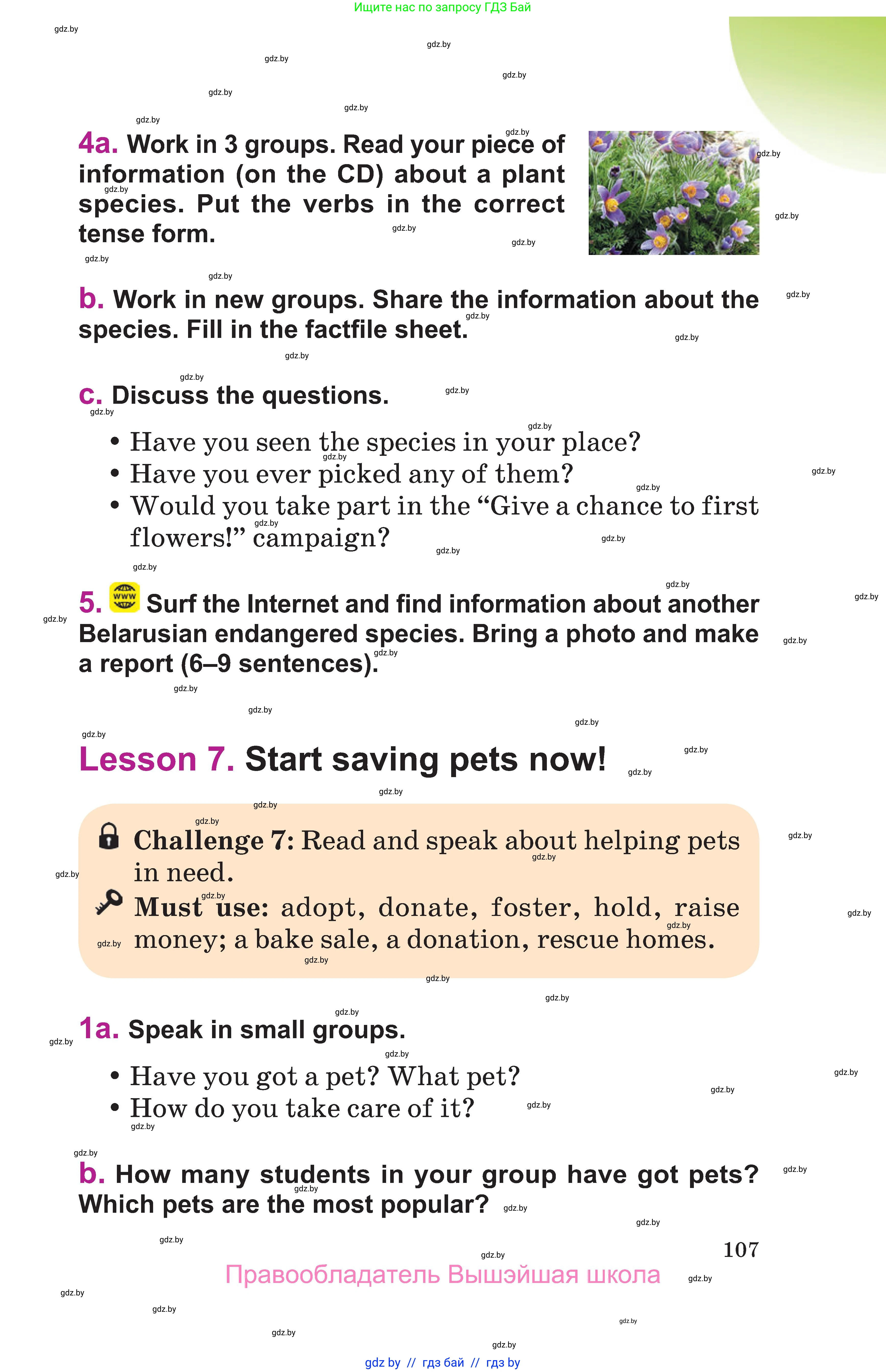 Английский язык (english), 6 класс Учебник, авторы: Демченко Наталья Валентиновна, Севрюкова Татьяна Юрьевна, Юхнель Наталья Валентиновна, Наумова Елена Георгиевна, Рыбалко О Н, Манешина А В, Маслёнченко Н А, издательство Вышэйшая школа, Минск, 2018, красного цвета, Часть 2, страница 107