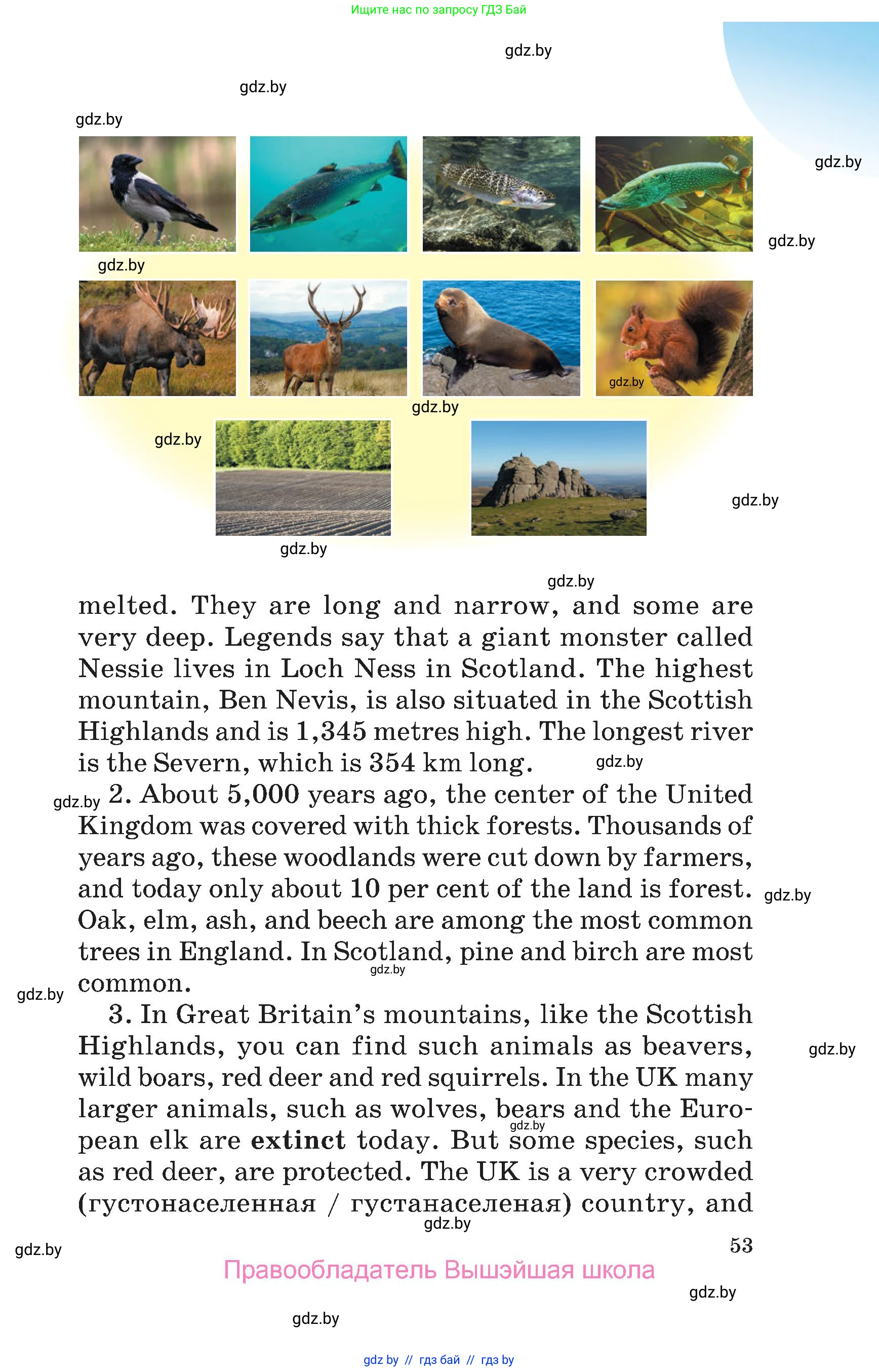 Английский язык (english), 6 класс Учебник, авторы: Демченко Наталья Валентиновна, Севрюкова Татьяна Юрьевна, Юхнель Наталья Валентиновна, Наумова Елена Георгиевна, Рыбалко О Н, Манешина А В, Маслёнченко Н А, издательство Вышэйшая школа, Минск, 2018, красного цвета, страница 53