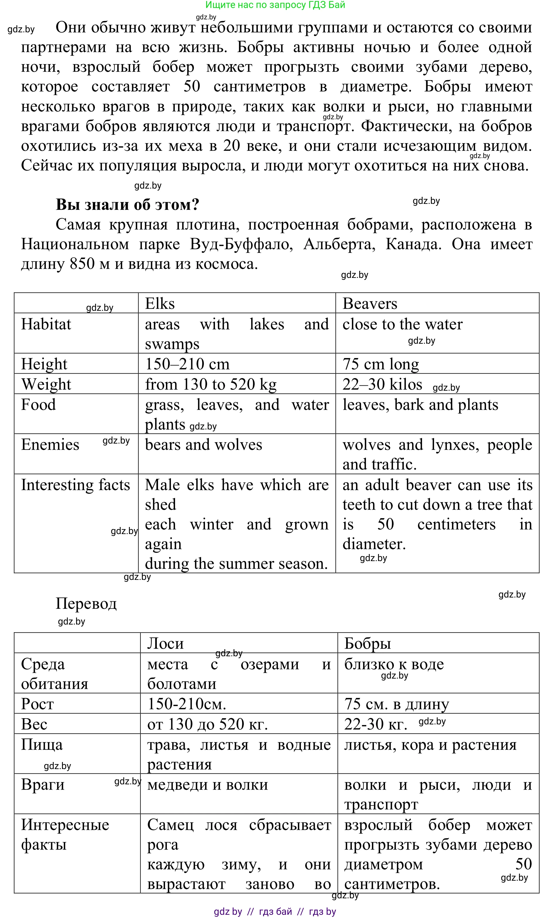 Английский язык (english), 6 класс Учебник, авторы: Демченко Наталья Валентиновна, Севрюкова Татьяна Юрьевна, Юхнель Наталья Валентиновна, Наумова Елена Георгиевна, Рыбалко О Н, Манешина А В, Маслёнченко Н А, издательство Вышэйшая школа, Минск, 2018, красного цвета, Часть 2, страница 56, номер 4, Решение (продолжение 2)