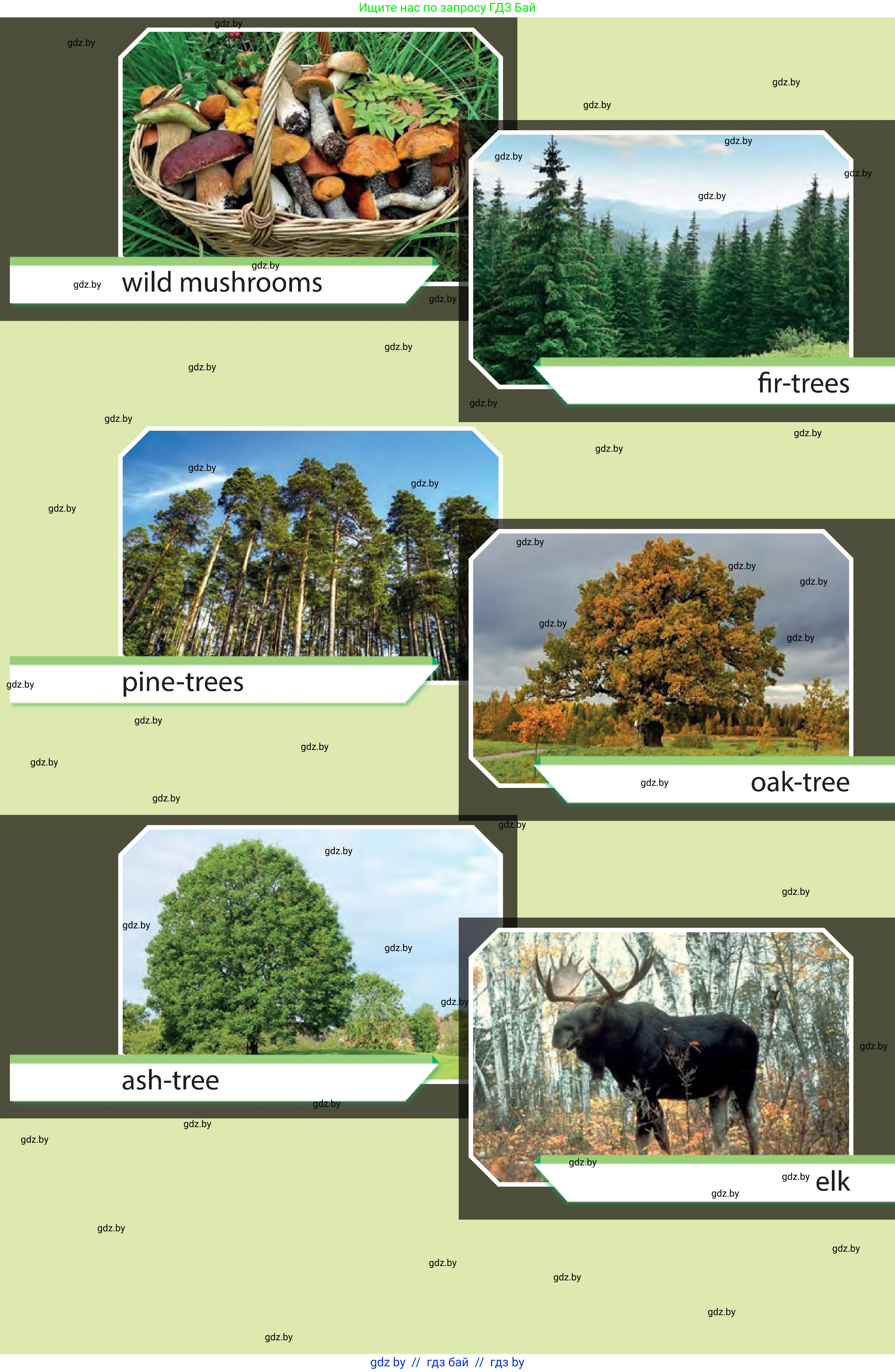 Английский язык (english), 6 класс Учебник, авторы: Юхнель Наталья Валентиновна, Наумова Елена Георгиевна, Малиновская Елена Александровна, издательство Адукацыя i выхаванне, Минск, 2021, 