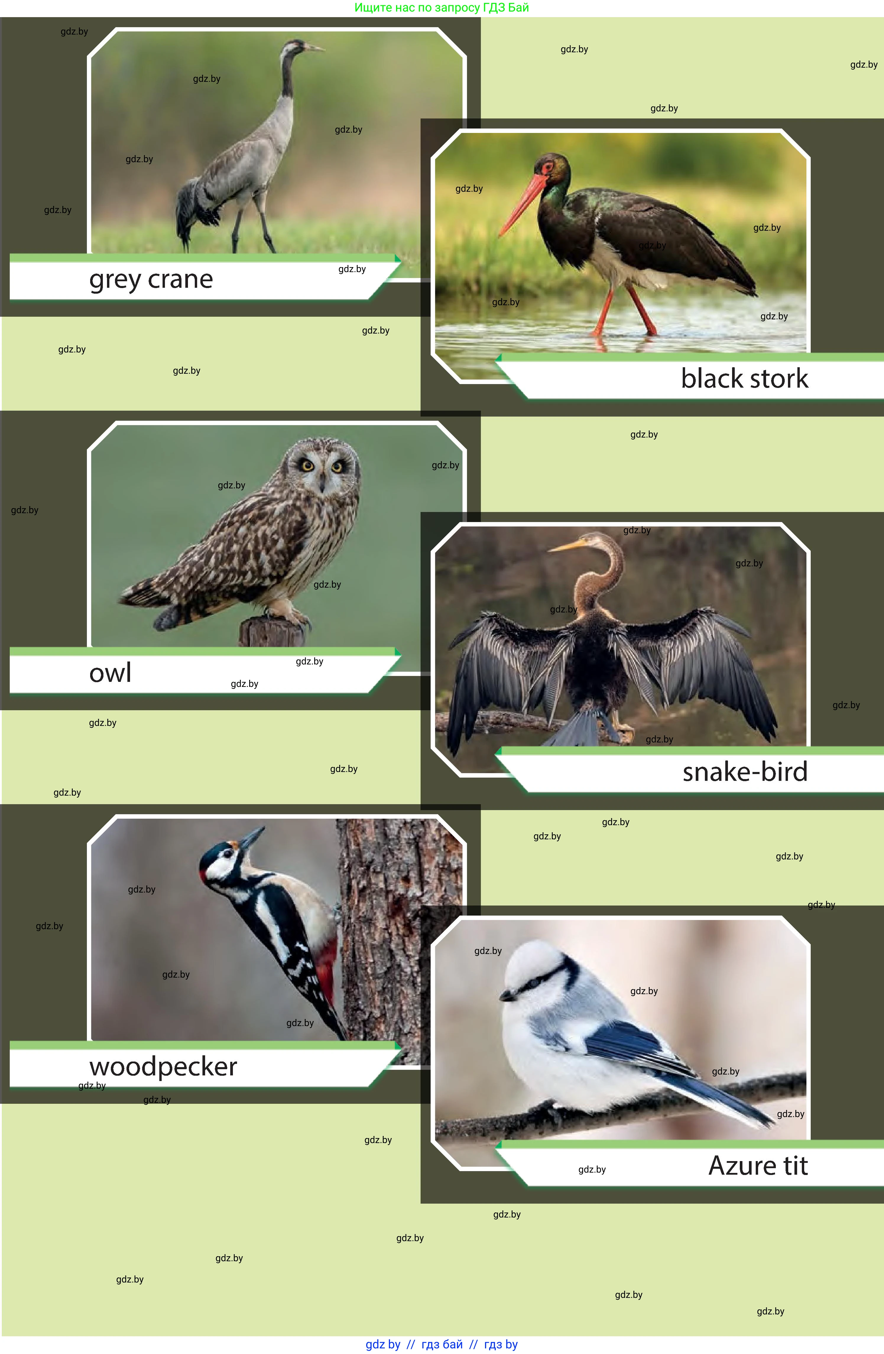 Английский язык (english), 6 класс Учебник, авторы: Юхнель Наталья Валентиновна, Наумова Елена Георгиевна, Малиновская Елена Александровна, издательство Адукацыя i выхаванне, Минск, 2021, 