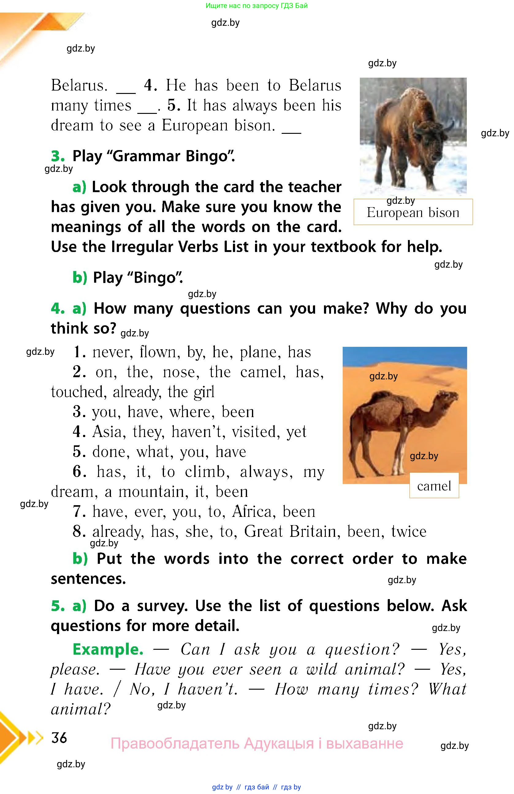 Английский язык (english), 6 класс Учебник, авторы: Юхнель Наталья Валентиновна, Наумова Елена Георгиевна, Малиновская Елена Александровна, издательство Адукацыя i выхаванне, Минск, 2021, страница 36