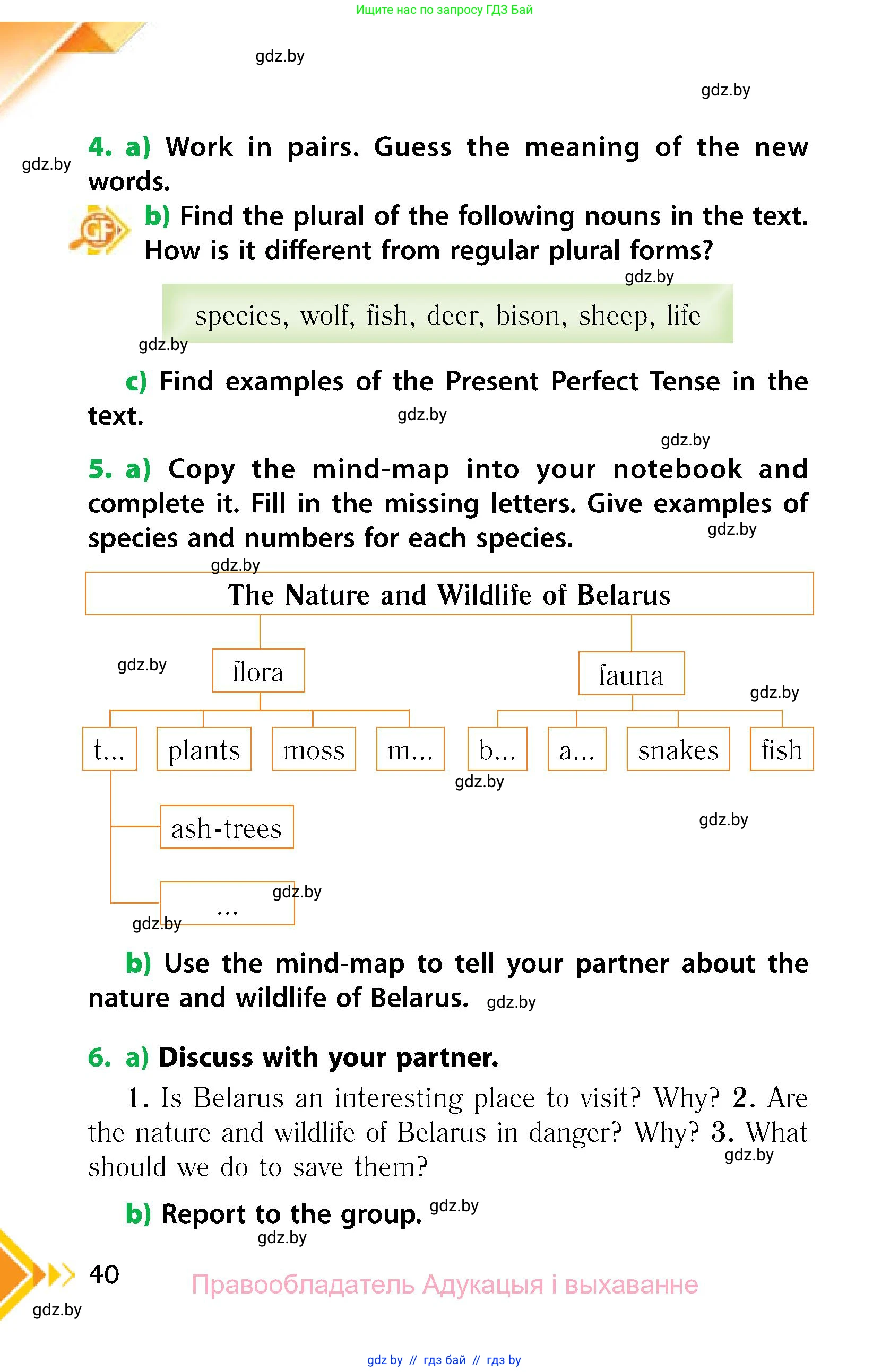 Английский язык (english), 6 класс Учебник, авторы: Юхнель Наталья Валентиновна, Наумова Елена Георгиевна, Малиновская Елена Александровна, издательство Адукацыя i выхаванне, Минск, 2021, страница 40