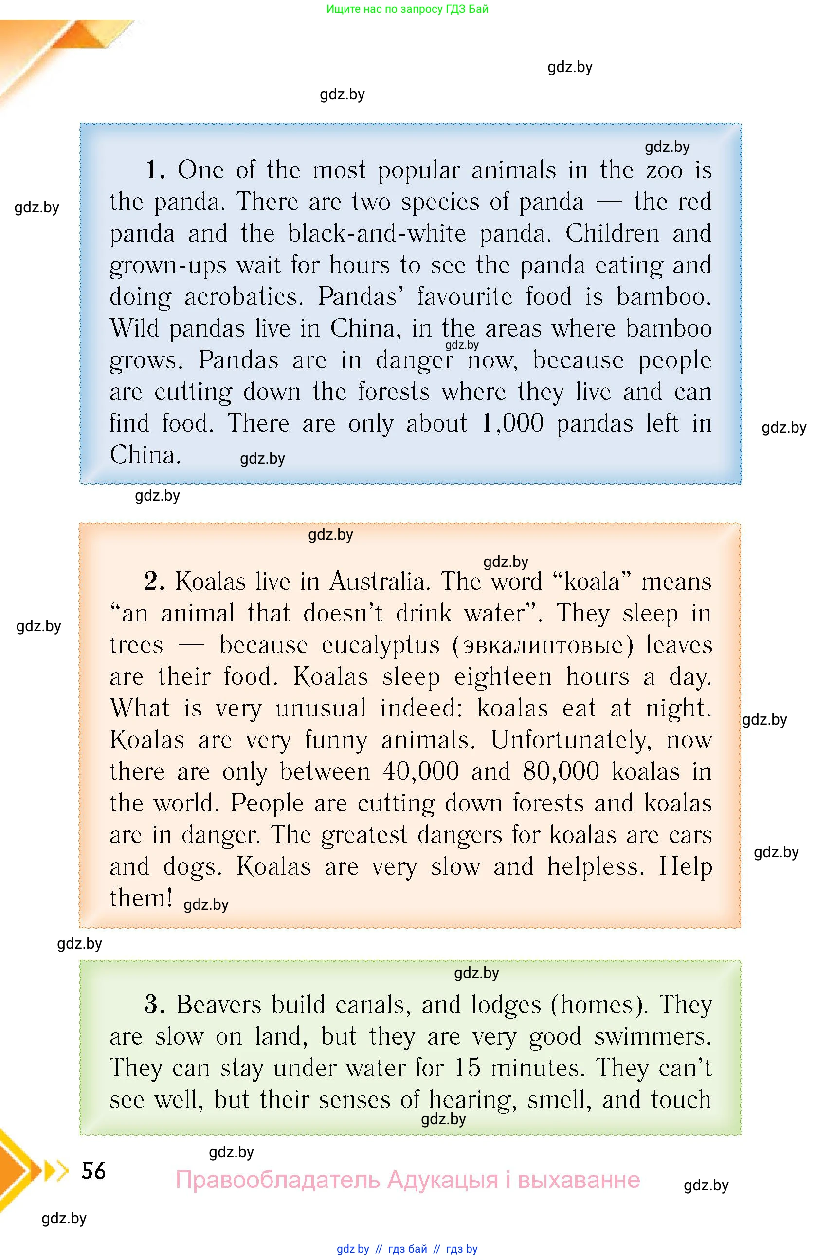 Английский язык (english), 6 класс Учебник, авторы: Юхнель Наталья Валентиновна, Наумова Елена Георгиевна, Малиновская Елена Александровна, издательство Адукацыя i выхаванне, Минск, 2021, страница 56
