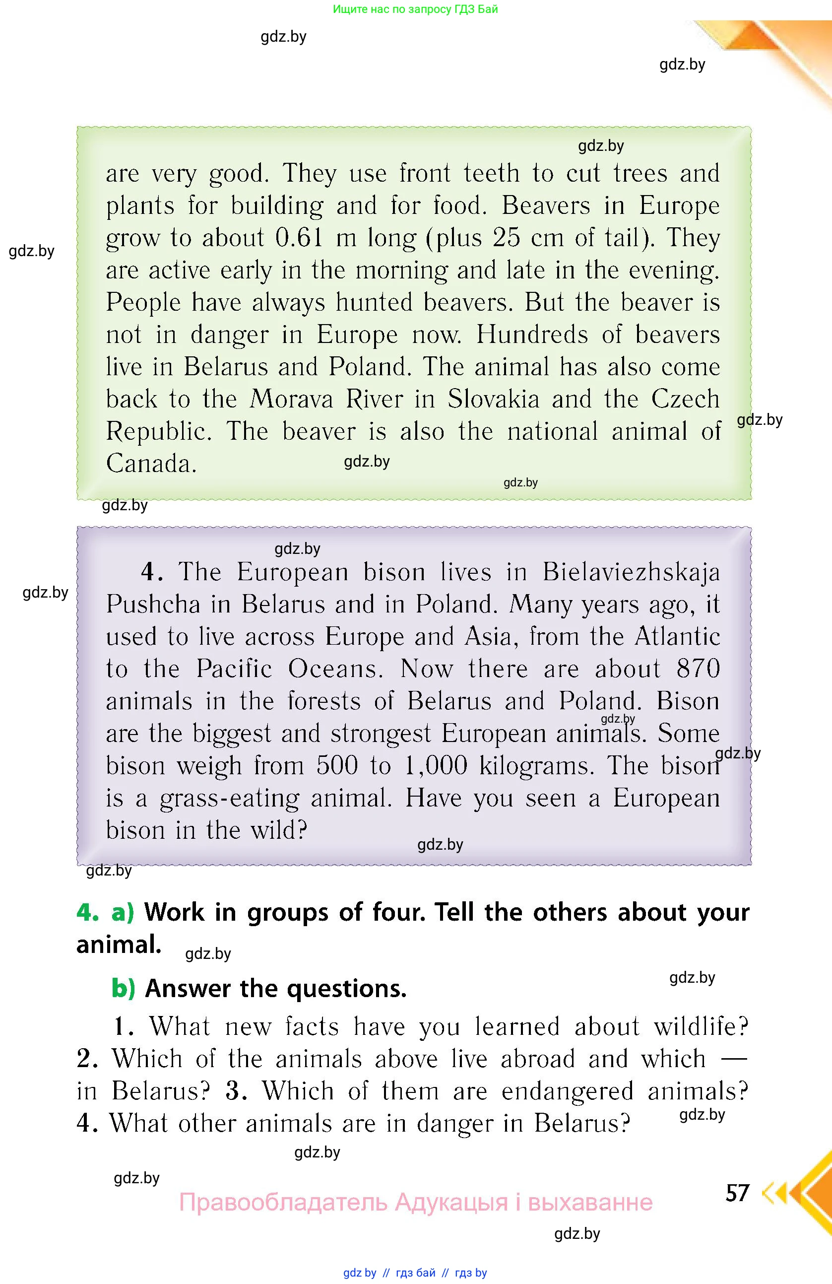 Английский язык (english), 6 класс Учебник, авторы: Юхнель Наталья Валентиновна, Наумова Елена Георгиевна, Малиновская Елена Александровна, издательство Адукацыя i выхаванне, Минск, 2021, страница 57
