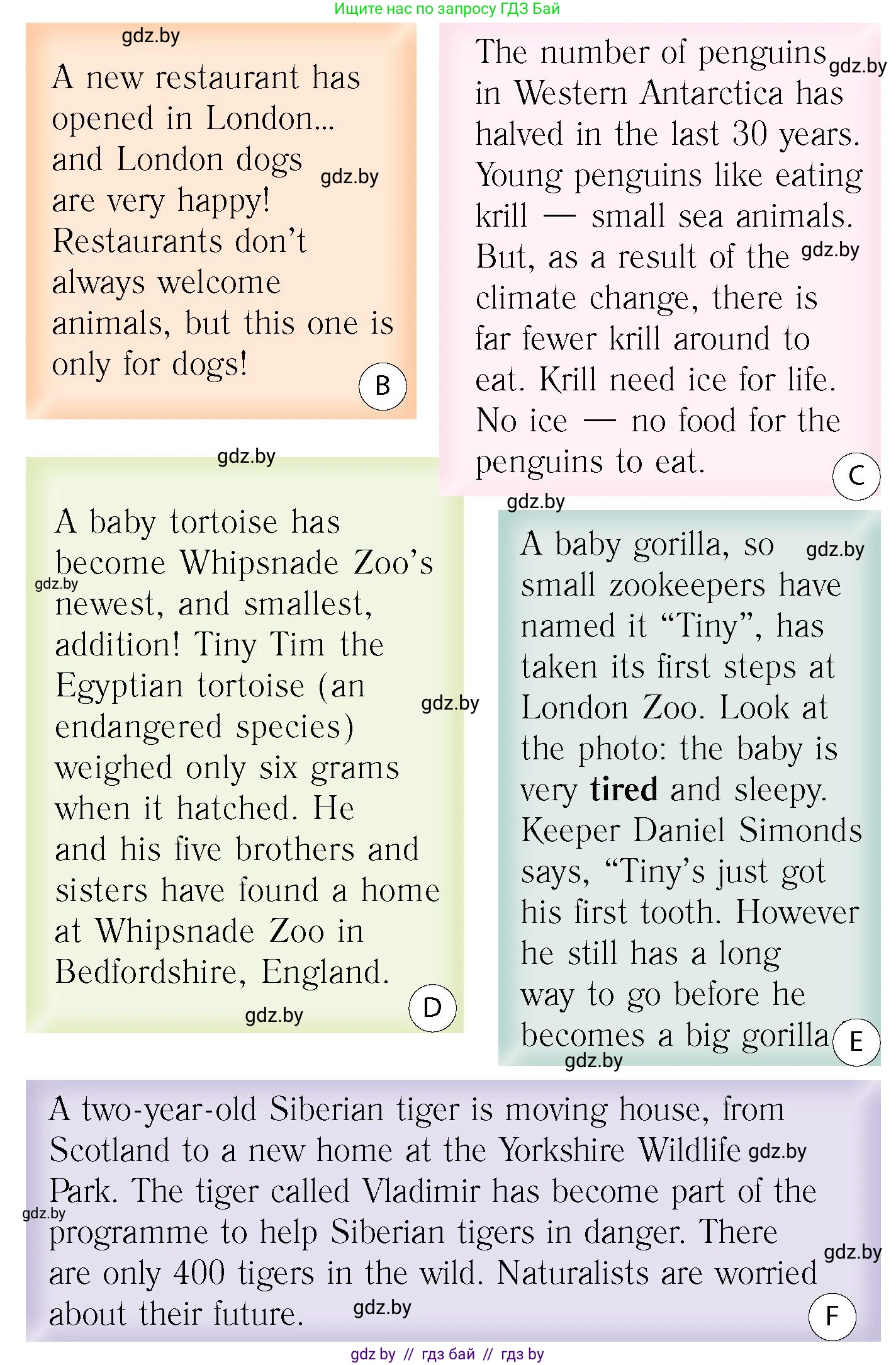 Английский язык (english), 6 класс Учебник, авторы: Юхнель Наталья Валентиновна, Наумова Елена Георгиевна, Малиновская Елена Александровна, издательство Адукацыя i выхаванне, Минск, 2021, страница 48, номер 2, Условие (продолжение 2)