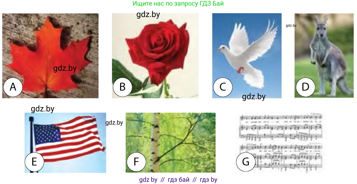 Английский язык (english), 6 класс Учебник, авторы: Юхнель Наталья Валентиновна, Наумова Елена Георгиевна, Малиновская Елена Александровна, издательство Адукацыя i выхаванне, Минск, 2021, страница 61, номер 4, Условие (продолжение 2)