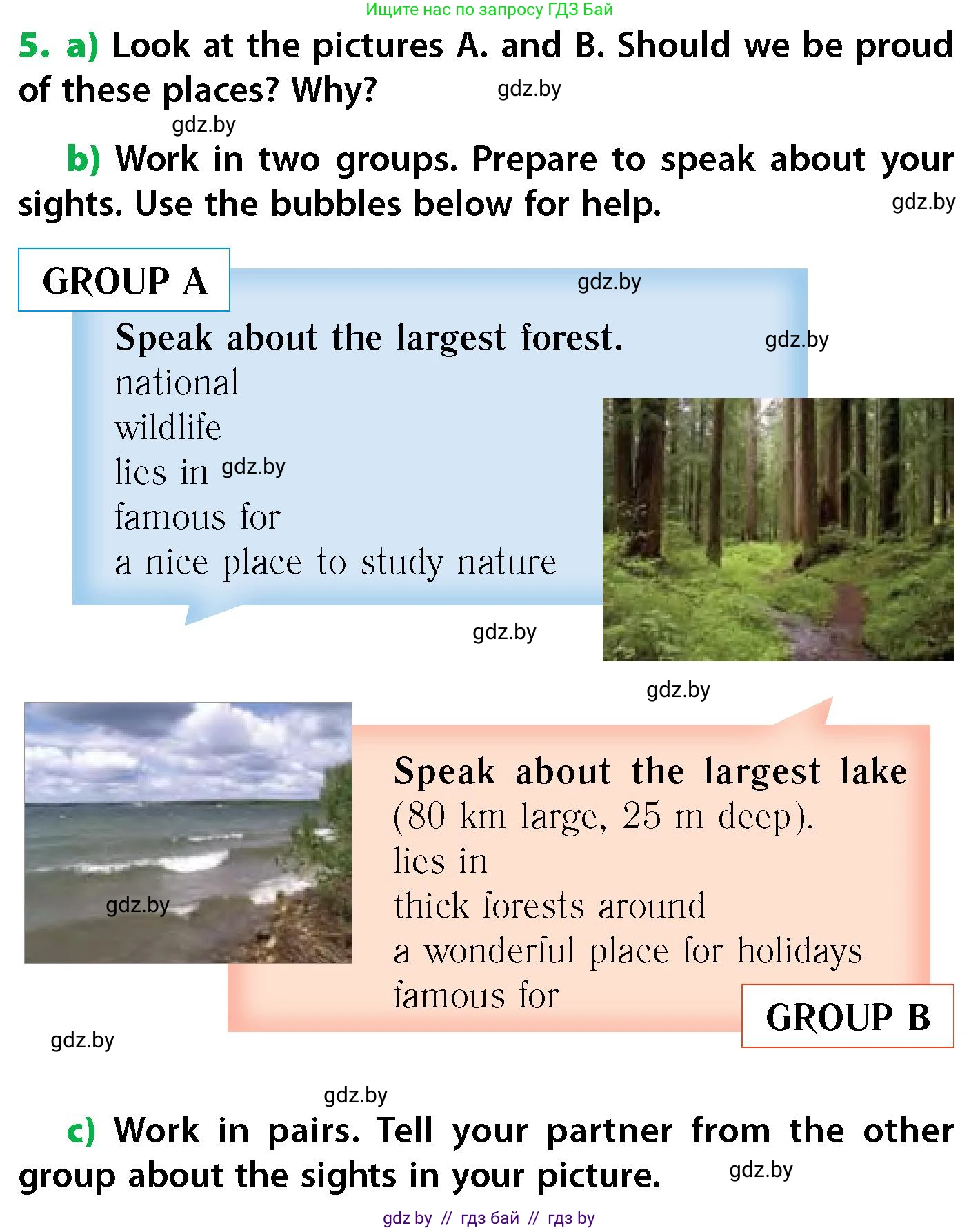 Английский язык (english), 6 класс Учебник, авторы: Юхнель Наталья Валентиновна, Наумова Елена Георгиевна, Малиновская Елена Александровна, издательство Адукацыя i выхаванне, Минск, 2021, страница 87, номер 5, Условие