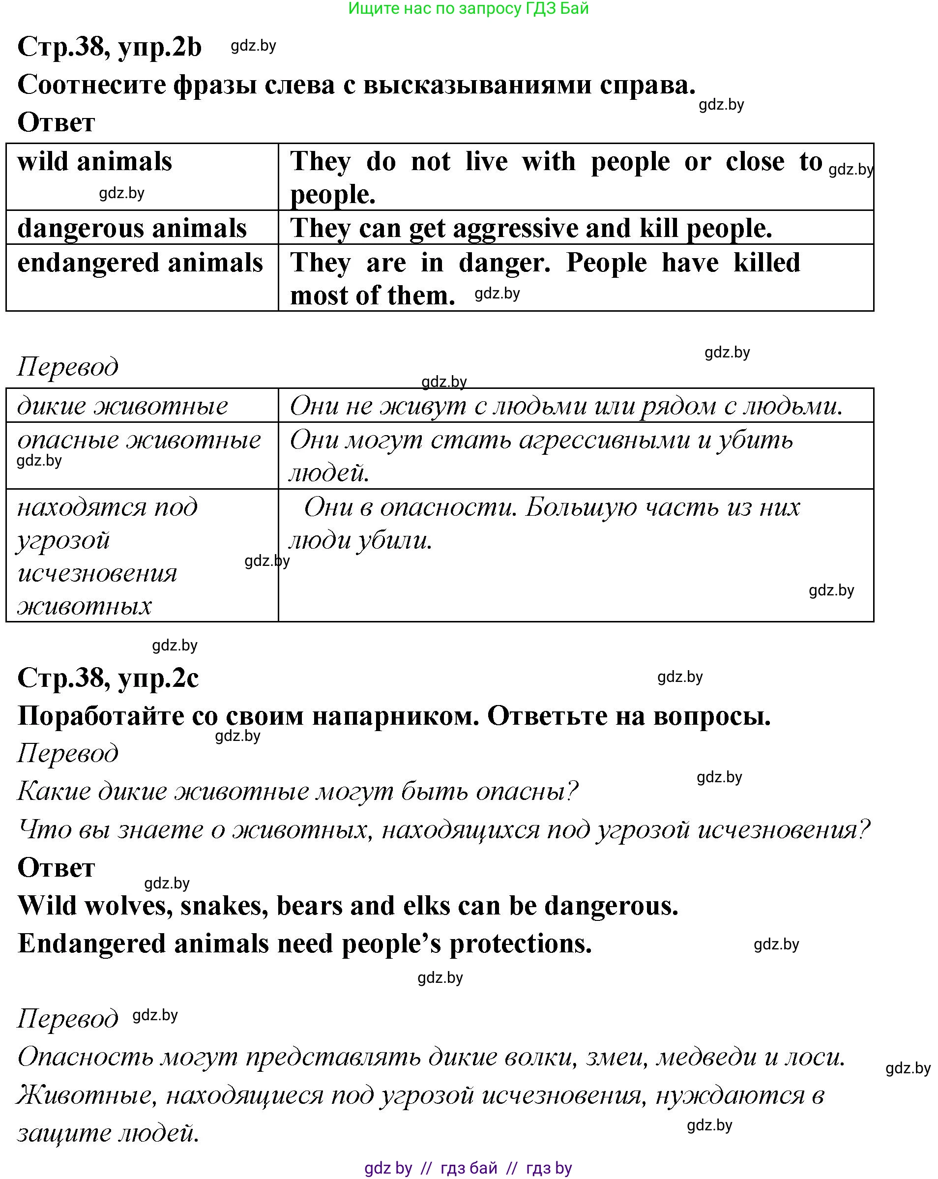 Английский язык (english), 6 класс Учебник, авторы: Юхнель Наталья Валентиновна, Наумова Елена Георгиевна, Малиновская Елена Александровна, издательство Адукацыя i выхаванне, Минск, 2021, страница 38, номер 2, Решение (продолжение 2)