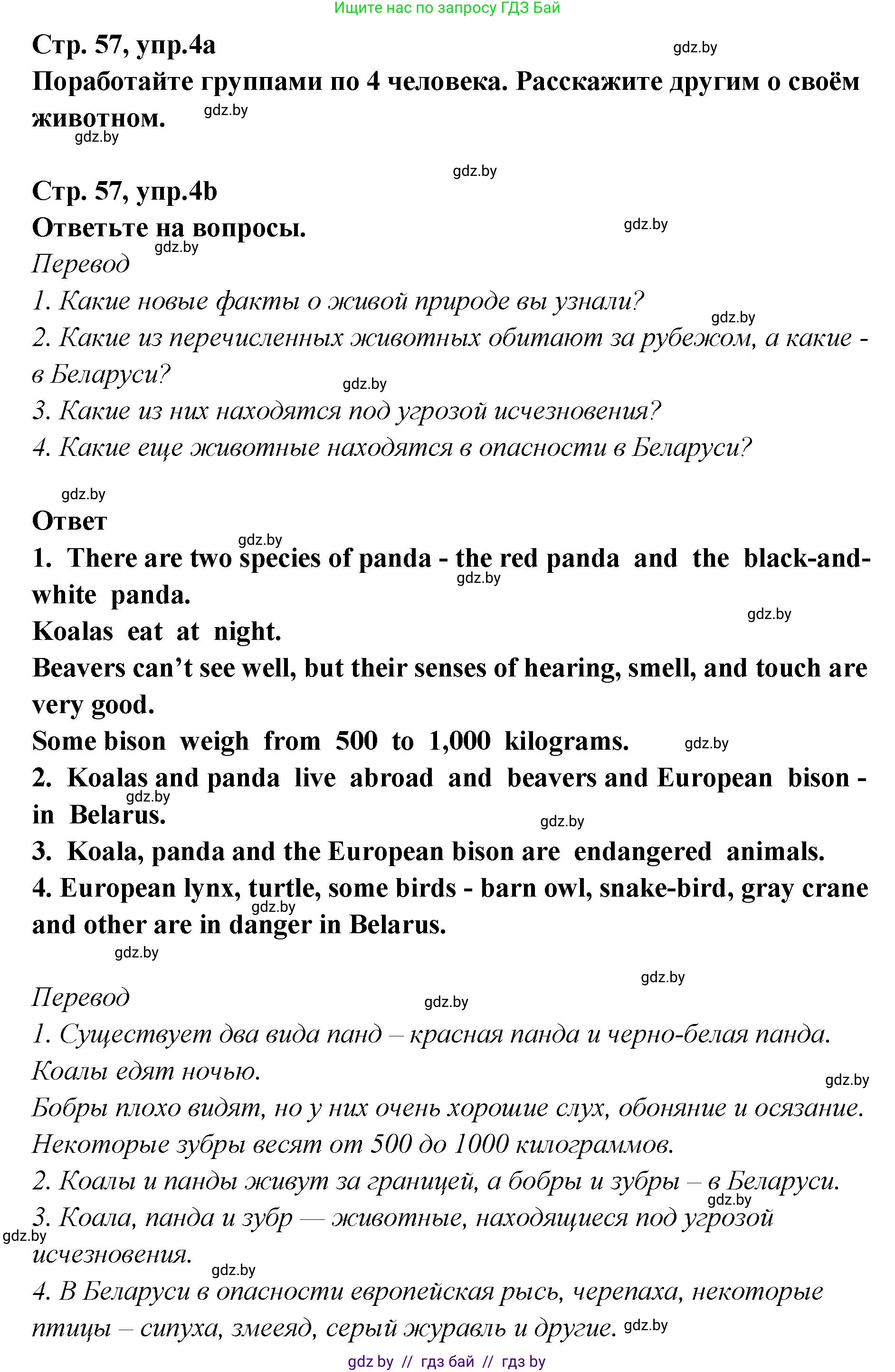 Английский язык (english), 6 класс Учебник, авторы: Юхнель Наталья Валентиновна, Наумова Елена Георгиевна, Малиновская Елена Александровна, издательство Адукацыя i выхаванне, Минск, 2021, страница 57, номер 4, Решение
