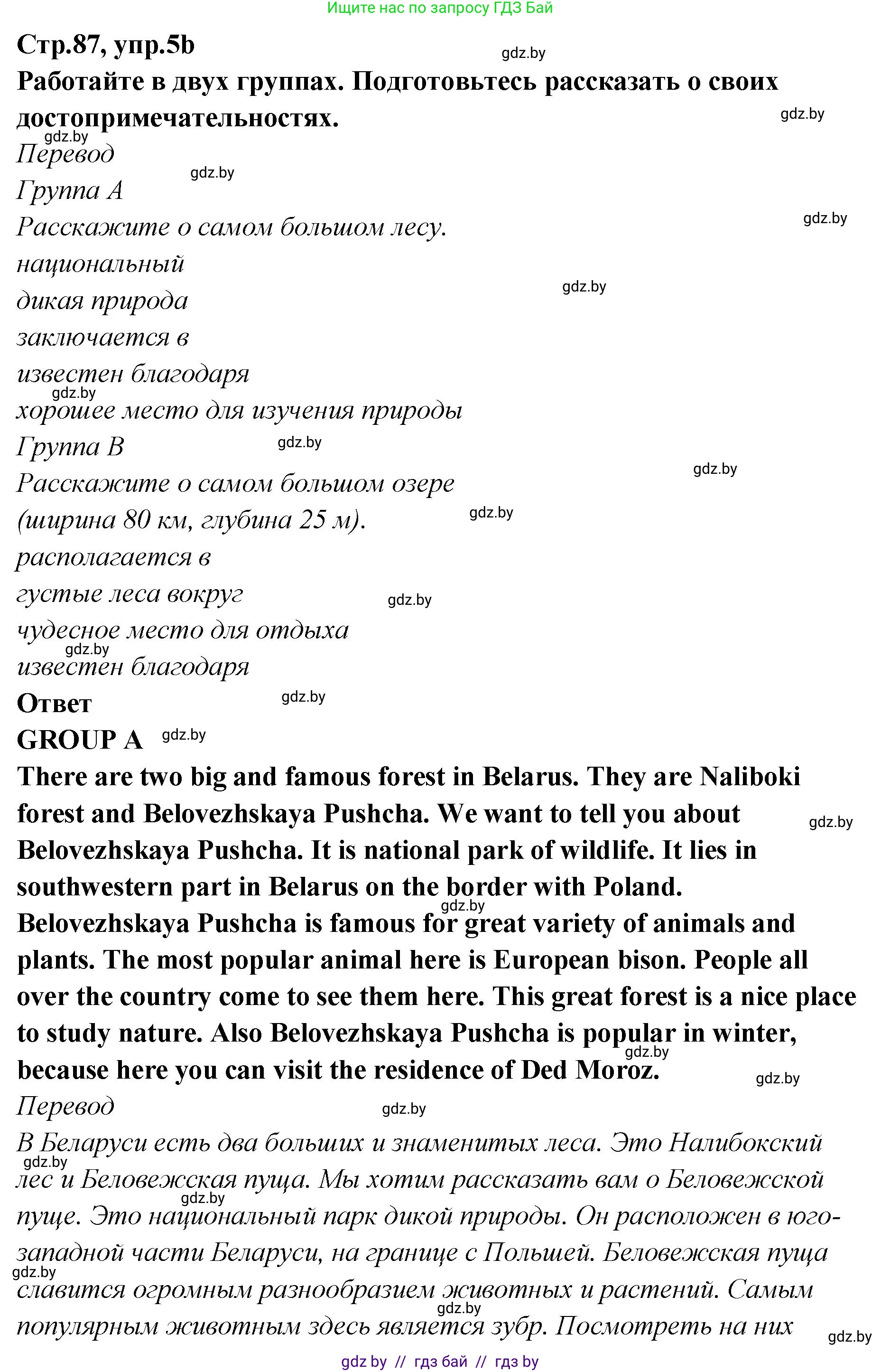 Английский язык (english), 6 класс Учебник, авторы: Юхнель Наталья Валентиновна, Наумова Елена Георгиевна, Малиновская Елена Александровна, издательство Адукацыя i выхаванне, Минск, 2021, страница 87, номер 5, Решение (продолжение 2)