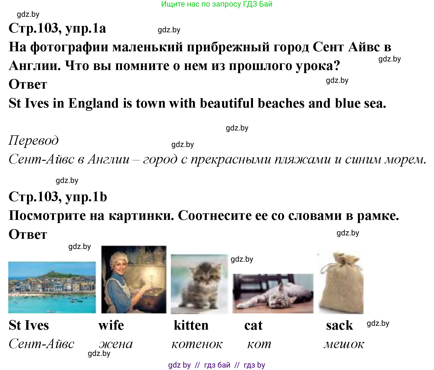 Английский язык (english), 6 класс Учебник, авторы: Юхнель Наталья Валентиновна, Наумова Елена Георгиевна, Малиновская Елена Александровна, издательство Адукацыя i выхаванне, Минск, 2021, страница 103, номер 1, Решение