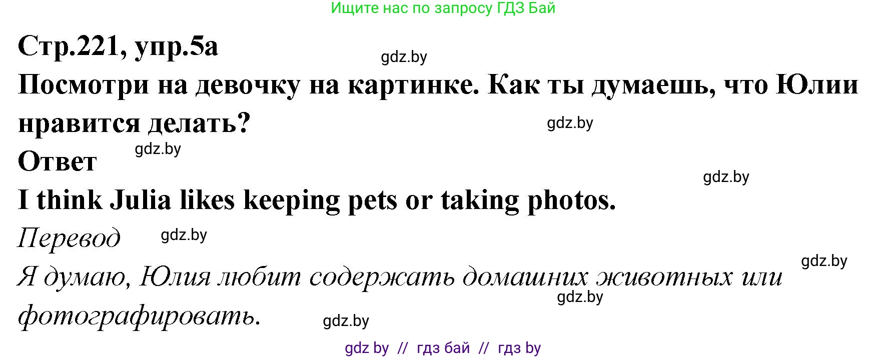 Английский язык (english), 6 класс Учебник, авторы: Юхнель Наталья Валентиновна, Наумова Елена Георгиевна, Малиновская Елена Александровна, издательство Адукацыя i выхаванне, Минск, 2021, страница 221, номер 5, Решение