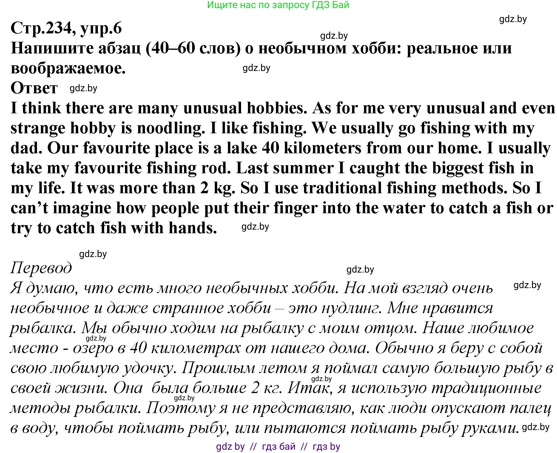 Английский язык (english), 6 класс Учебник, авторы: Юхнель Наталья Валентиновна, Наумова Елена Георгиевна, Малиновская Елена Александровна, издательство Адукацыя i выхаванне, Минск, 2021, страница 234, номер 6, Решение
