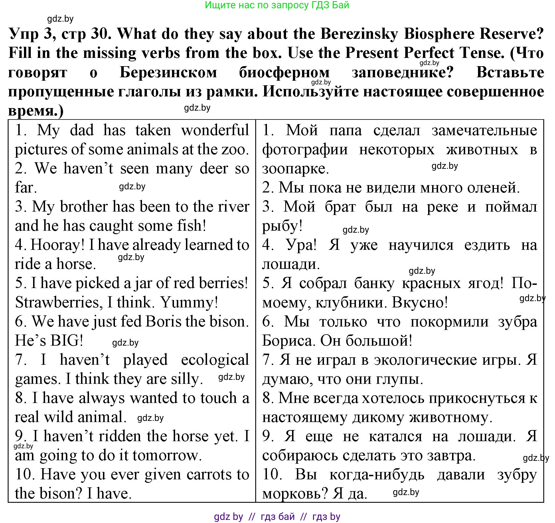 Английский язык (english), 6 класс Тетрадь по грамматике (grammar), авторы: Севрюкова Татьяна Юрьевна, Юхнель Наталья Валентиновна, Бушуева Эдите Владиславовна, издательство Аверсэв, Минск, 2022, зелёного цвета, страница 30, номер 3, Решение