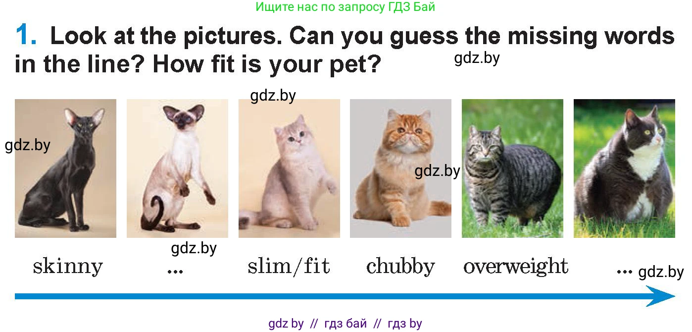 Английский язык (english), 7 класс Учебник (Student's book), авторы: Юхнель Наталья Валентиновна, Демченко Наталья Валентиновна, Наумова Елена Георгиевна, Романчук Вероника Романовна, издательство Вышэйшая школа, Минск, 2023, страница 18, номер 1, Условие