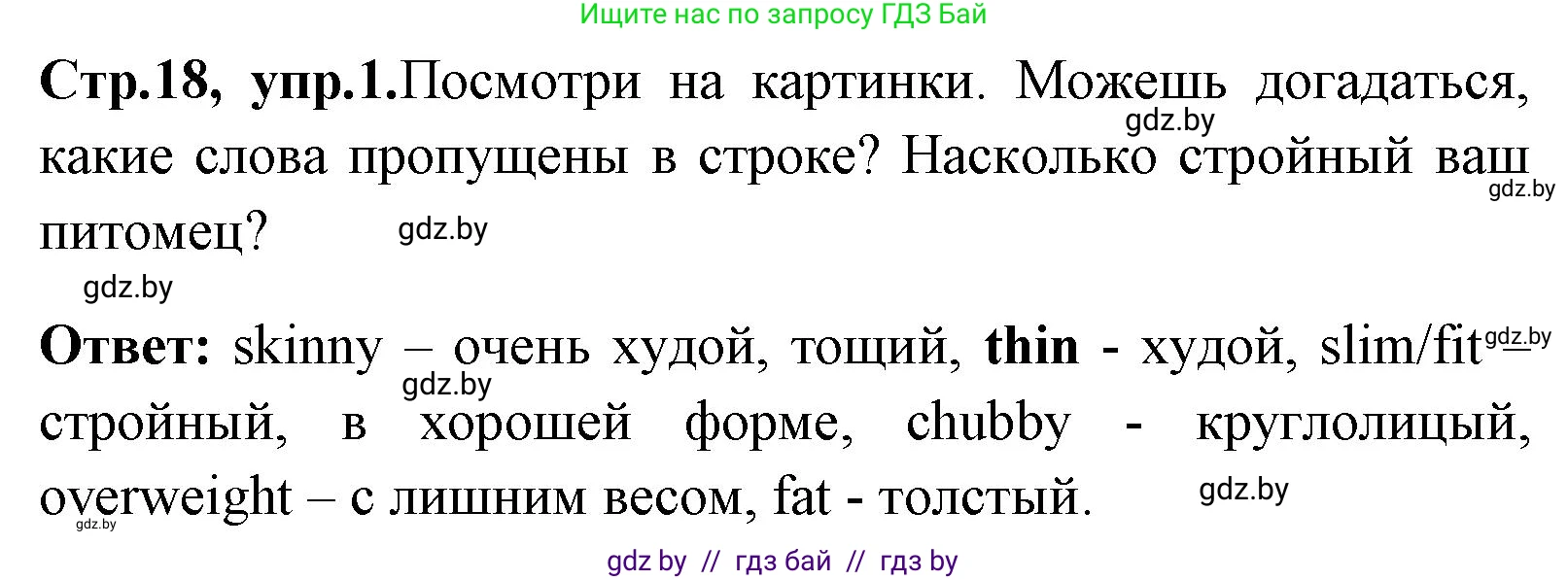 Английский язык (english), 7 класс Учебник (Student's book), авторы: Юхнель Наталья Валентиновна, Демченко Наталья Валентиновна, Наумова Елена Георгиевна, Романчук Вероника Романовна, издательство Вышэйшая школа, Минск, 2023, страница 18, номер 1, Решение