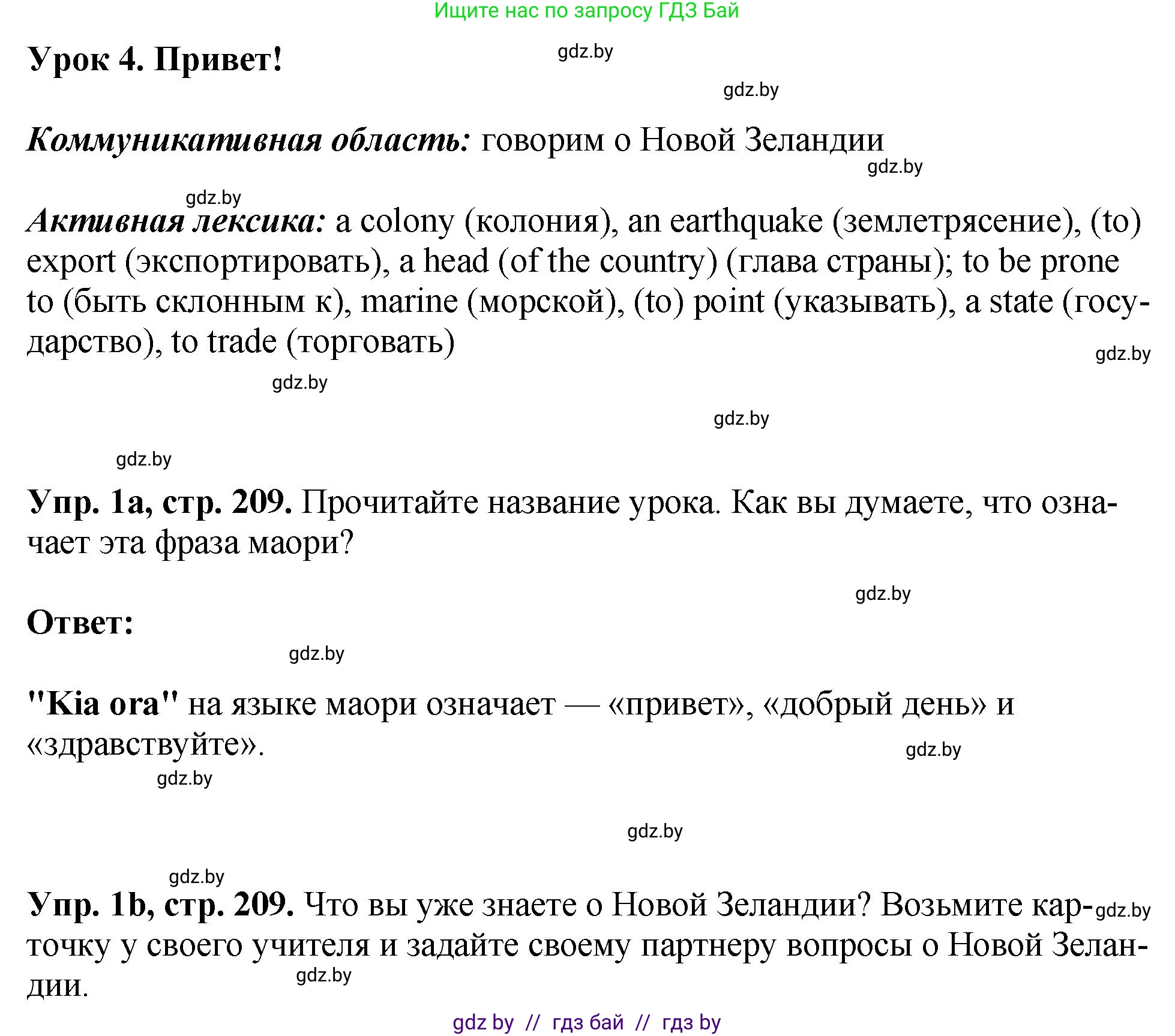 Английский язык (english), 7 класс Учебник (Student's book), авторы: Юхнель Наталья Валентиновна, Демченко Наталья Валентиновна, Наумова Елена Георгиевна, Романчук Вероника Романовна, издательство Вышэйшая школа, Минск, 2023, страница 209, номер 1, Решение