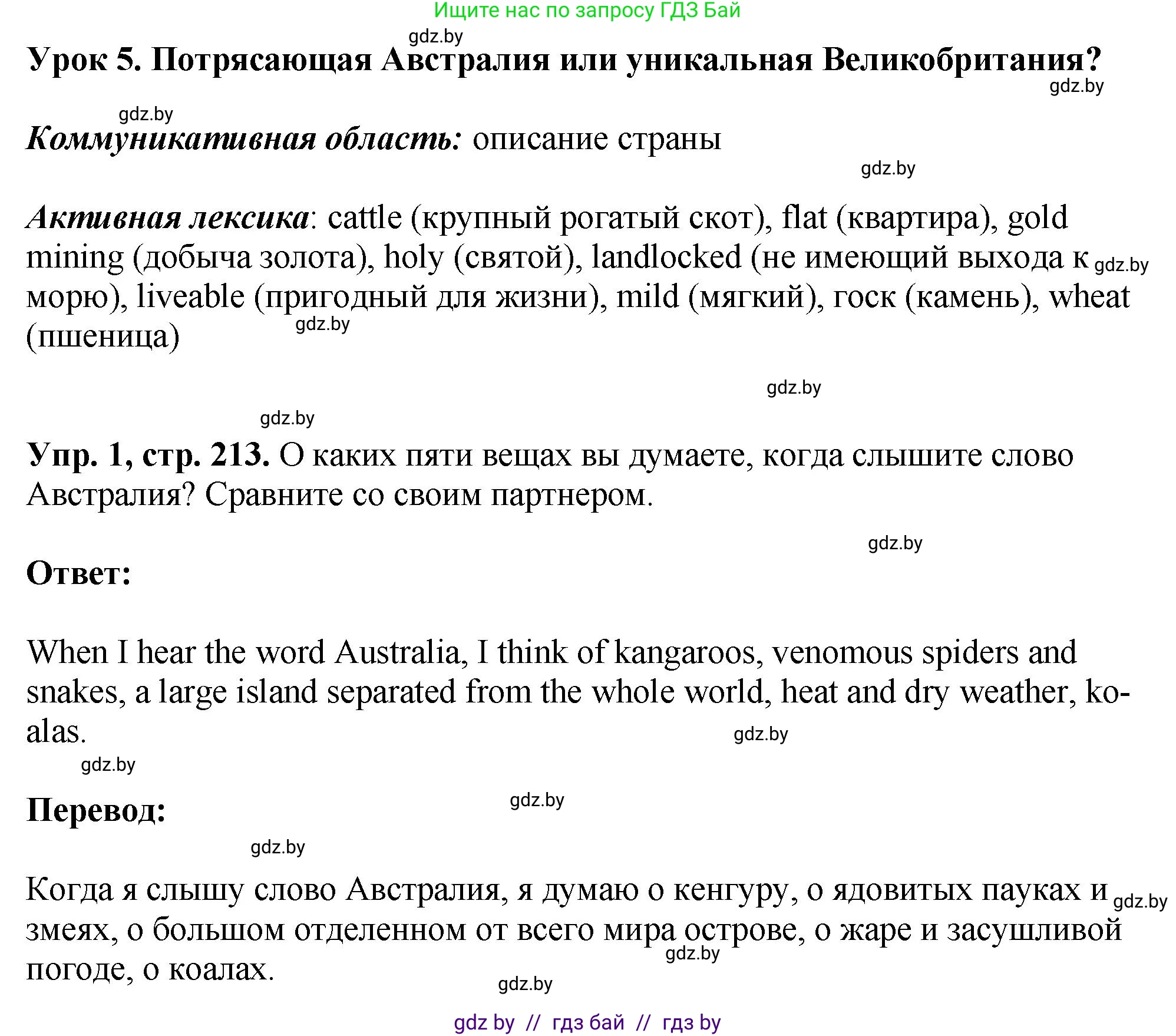 Английский язык (english), 7 класс Учебник (Student's book), авторы: Юхнель Наталья Валентиновна, Демченко Наталья Валентиновна, Наумова Елена Георгиевна, Романчук Вероника Романовна, издательство Вышэйшая школа, Минск, 2023, страница 213, номер 1, Решение