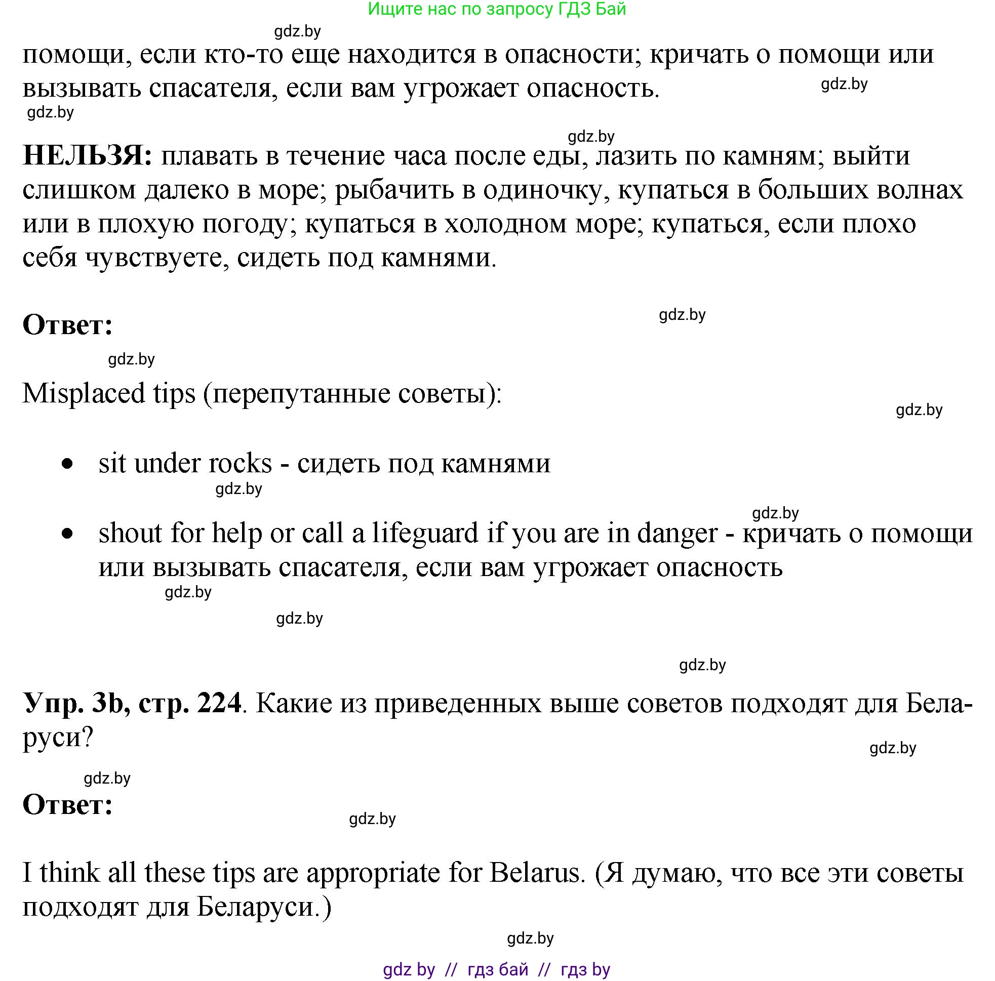 Английский язык (english), 7 класс Учебник (Student's book), авторы: Юхнель Наталья Валентиновна, Демченко Наталья Валентиновна, Наумова Елена Георгиевна, Романчук Вероника Романовна, издательство Вышэйшая школа, Минск, 2023, страница 223, номер 3, Решение (продолжение 2)