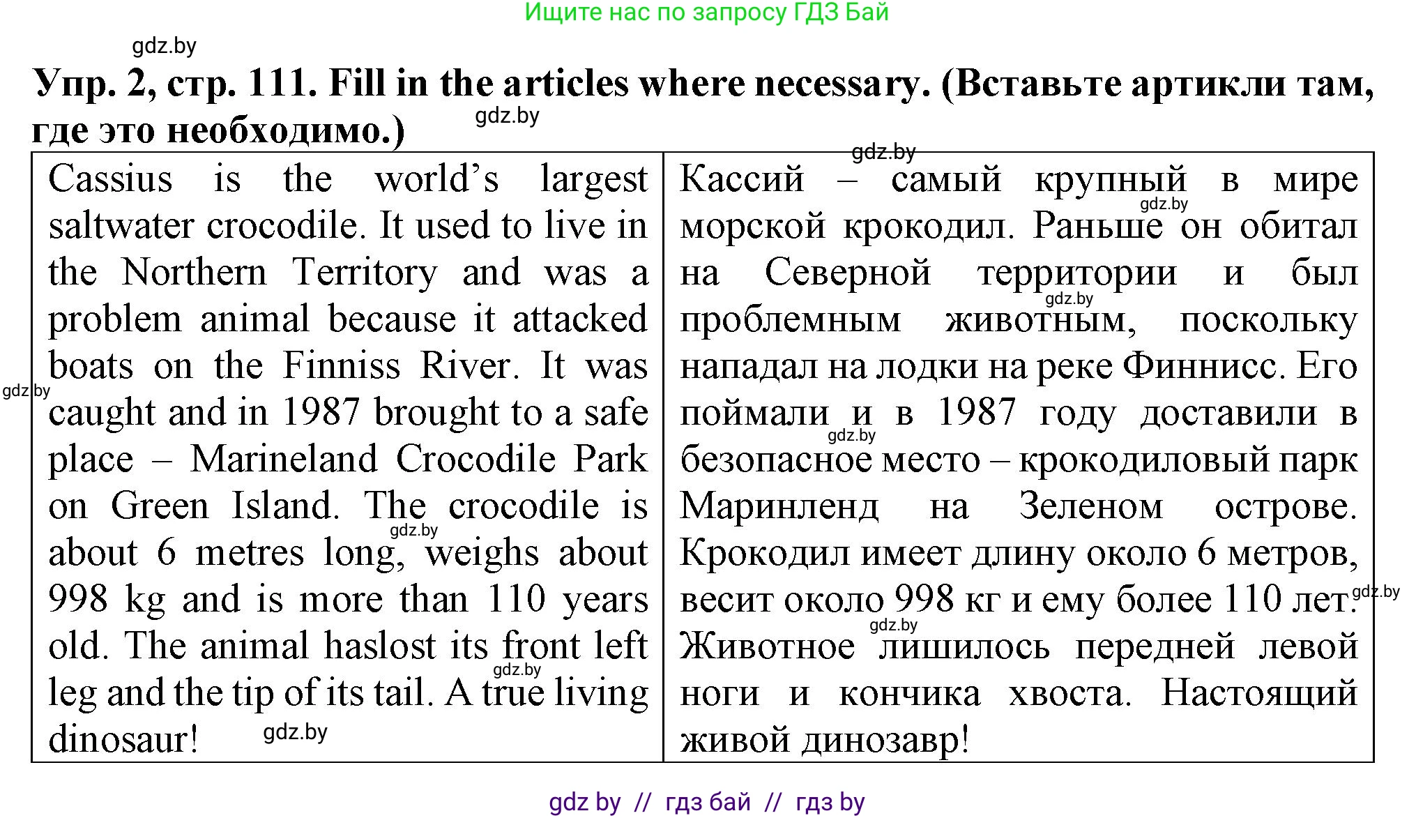 Английский язык (english), 7 класс Тетрадь по грамматике (grammar), авторы: Севрюкова Татьяна Юрьевна, Бушуева Эдите Владиславовна, Юхнель Наталья Валентиновна, издательство Аверсэв, Минск, 2023, страница 111, номер 2, Решение