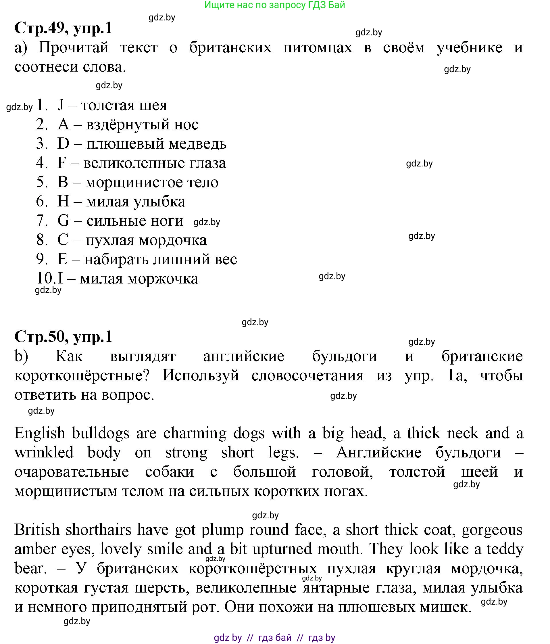 Английский язык (english), 7 класс Рабочая тетрадь (workbook), авторы: Демченко Наталья Валентиновна, Севрюкова Татьяна Юрьевна, Наумова Елена Георгиевна, Юхнель Наталья Валентиновна, Манешина А В, Маслёнченко Н А, Рыбалко О Н, издательство Аверсэв, Минск, 2021, голубого цвета, Часть ( Part) 1, страница 49, номер 1, Решение