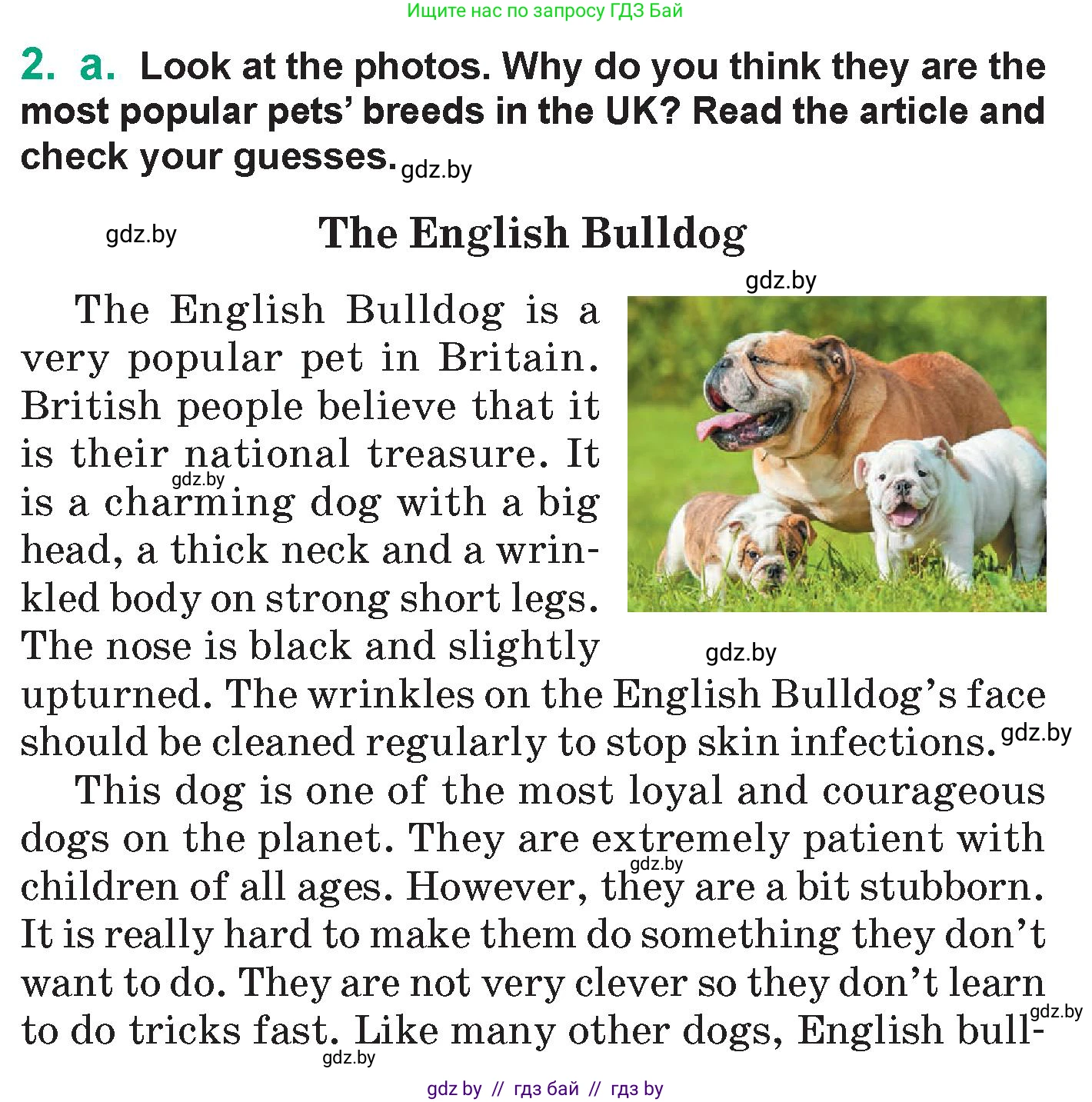 Английский язык (english), 7 класс Учебник (Student's book), авторы: Демченко Наталья Валентиновна, Севрюкова Татьяна Юрьевна, Юхнель Наталья Валентиновна, Наумова Елена Георгиевна, Манешина А В, Маслёнченко Н А, издательство Вышэйшая школа, Минск, 2019, оранжевого цвета, Часть ( Part) 1, страница 77, номер 2, Условие