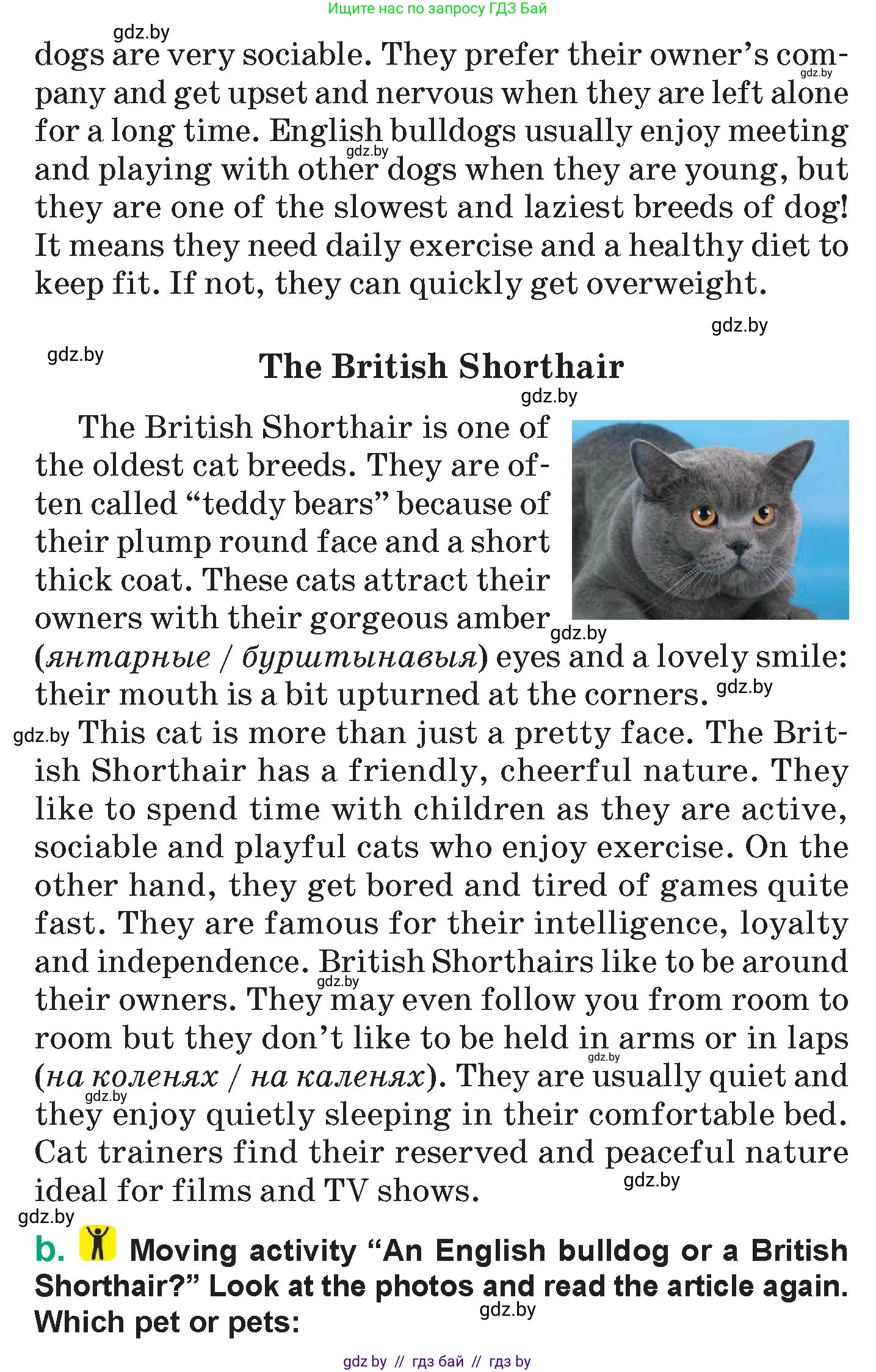 Английский язык (english), 7 класс Учебник (Student's book), авторы: Демченко Наталья Валентиновна, Севрюкова Татьяна Юрьевна, Юхнель Наталья Валентиновна, Наумова Елена Георгиевна, Манешина А В, Маслёнченко Н А, издательство Вышэйшая школа, Минск, 2019, оранжевого цвета, Часть ( Part) 1, страница 77, номер 2, Условие (продолжение 2)