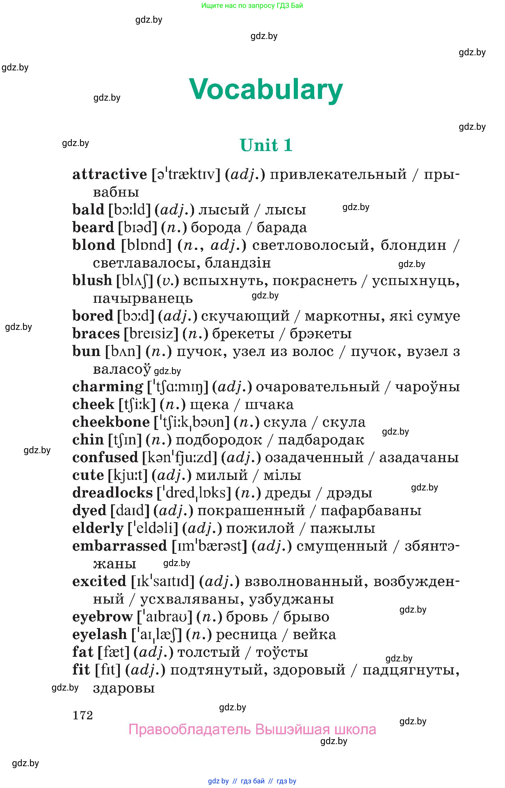 Английский язык (english), 7 класс Учебник (Student's book), авторы: Демченко Наталья Валентиновна, Севрюкова Татьяна Юрьевна, Юхнель Наталья Валентиновна, Наумова Елена Георгиевна, Манешина А В, Маслёнченко Н А, издательство Вышэйшая школа, Минск, 2019, оранжевого цвета, страница 172