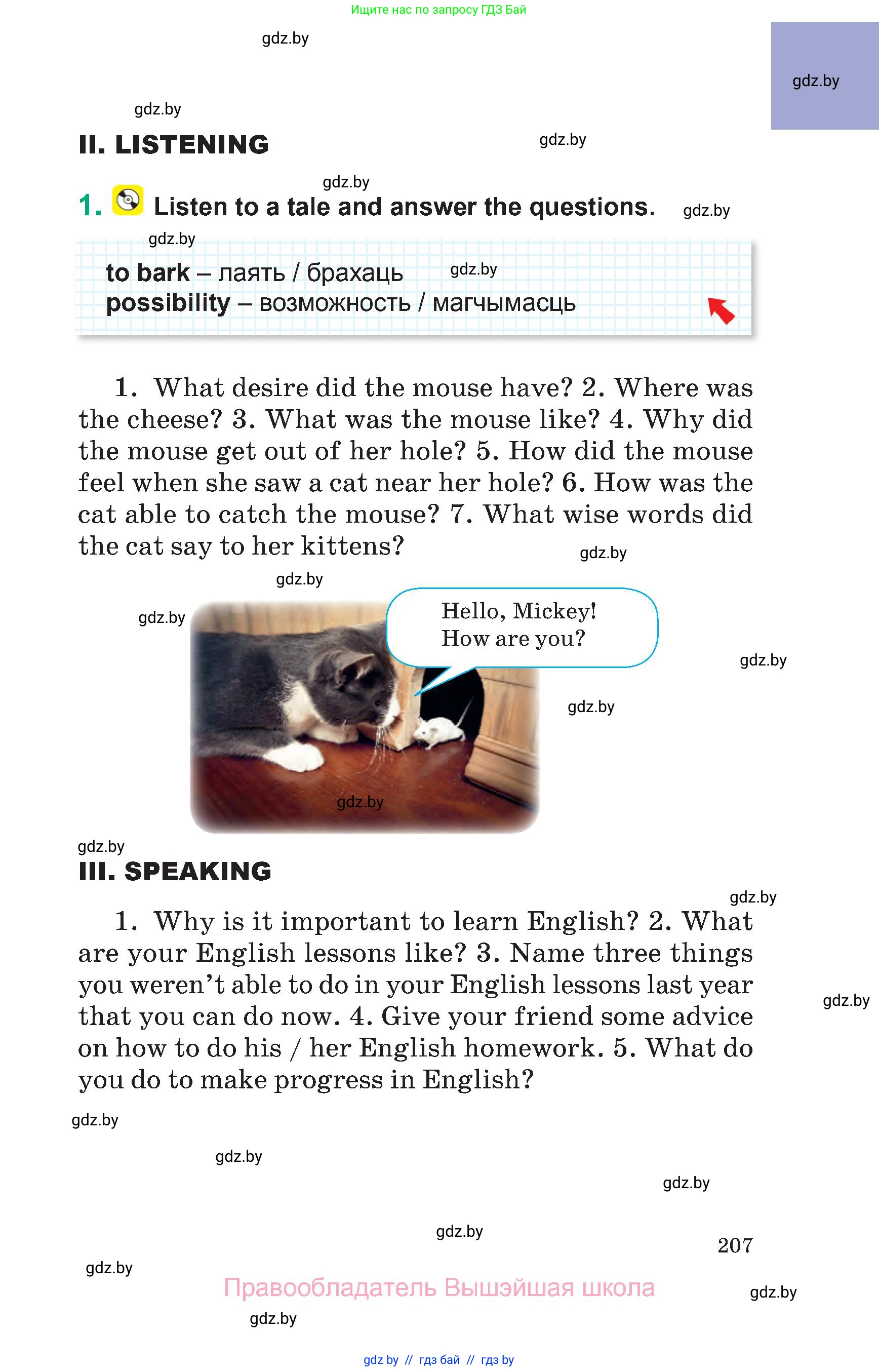 Английский язык (english), 7 класс Учебник (Student's book), авторы: Демченко Наталья Валентиновна, Севрюкова Татьяна Юрьевна, Юхнель Наталья Валентиновна, Наумова Елена Георгиевна, Манешина А В, Маслёнченко Н А, издательство Вышэйшая школа, Минск, 2019, оранжевого цвета, Часть ( Part) 2, страница 207