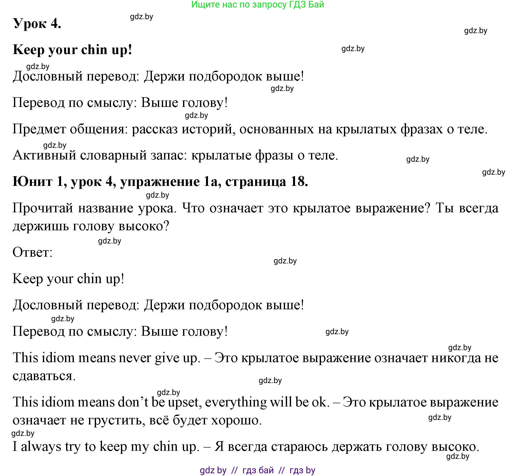 Английский язык (english), 7 класс Учебник (Student's book), авторы: Демченко Наталья Валентиновна, Севрюкова Татьяна Юрьевна, Юхнель Наталья Валентиновна, Наумова Елена Георгиевна, Манешина А В, Маслёнченко Н А, издательство Вышэйшая школа, Минск, 2019, оранжевого цвета, Часть ( Part) 1, страница 18, номер 1, Решение