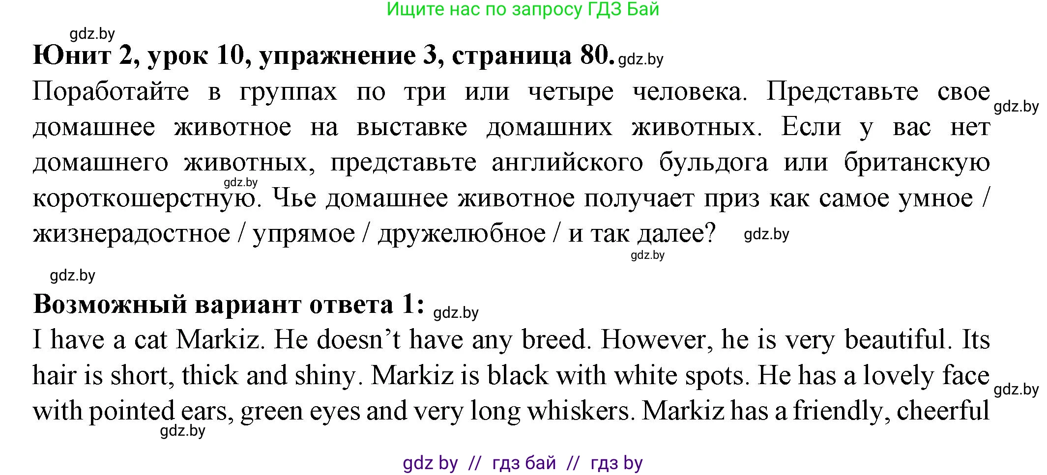 Английский язык (english), 7 класс Учебник (Student's book), авторы: Демченко Наталья Валентиновна, Севрюкова Татьяна Юрьевна, Юхнель Наталья Валентиновна, Наумова Елена Георгиевна, Манешина А В, Маслёнченко Н А, издательство Вышэйшая школа, Минск, 2019, оранжевого цвета, Часть ( Part) 1, страница 80, номер 3, Решение