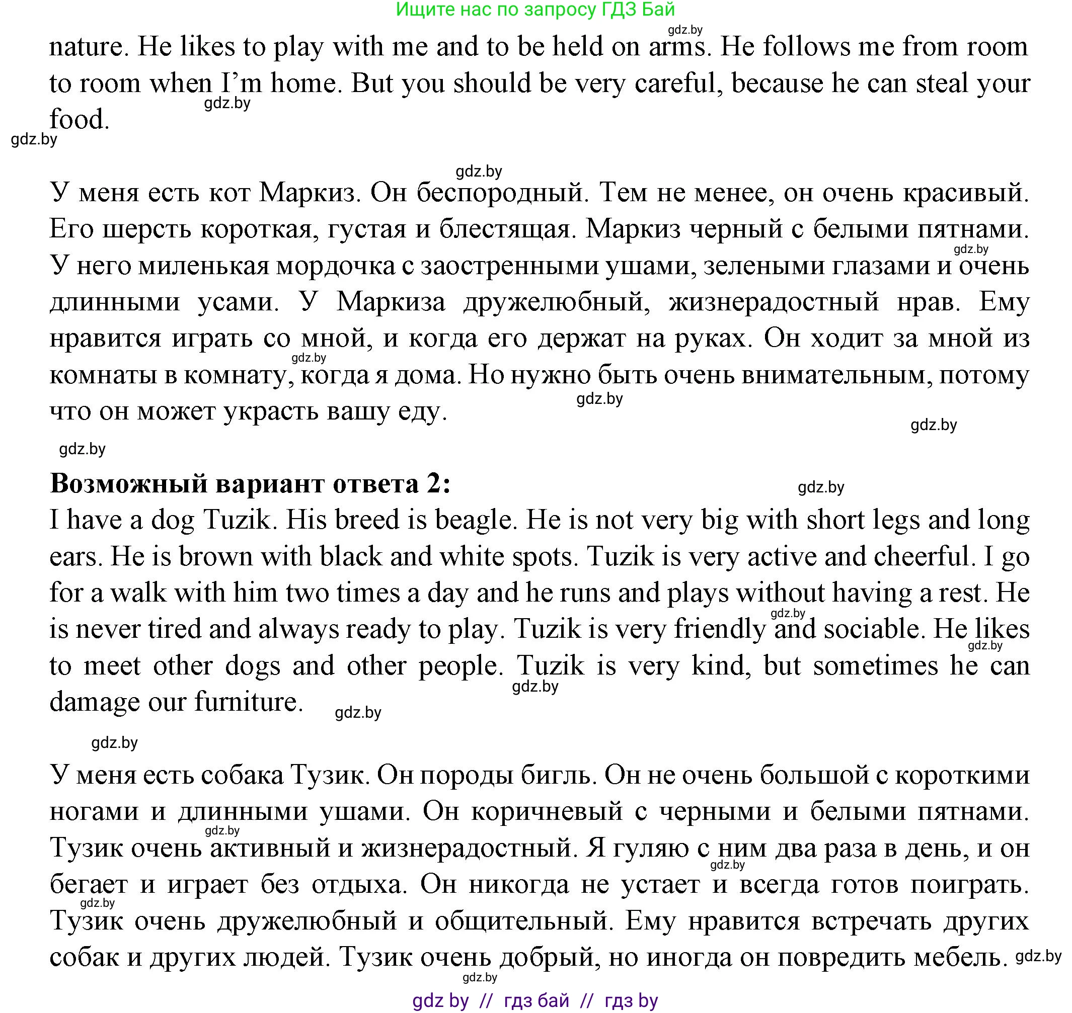 Английский язык (english), 7 класс Учебник (Student's book), авторы: Демченко Наталья Валентиновна, Севрюкова Татьяна Юрьевна, Юхнель Наталья Валентиновна, Наумова Елена Георгиевна, Манешина А В, Маслёнченко Н А, издательство Вышэйшая школа, Минск, 2019, оранжевого цвета, Часть ( Part) 1, страница 80, номер 3, Решение (продолжение 2)