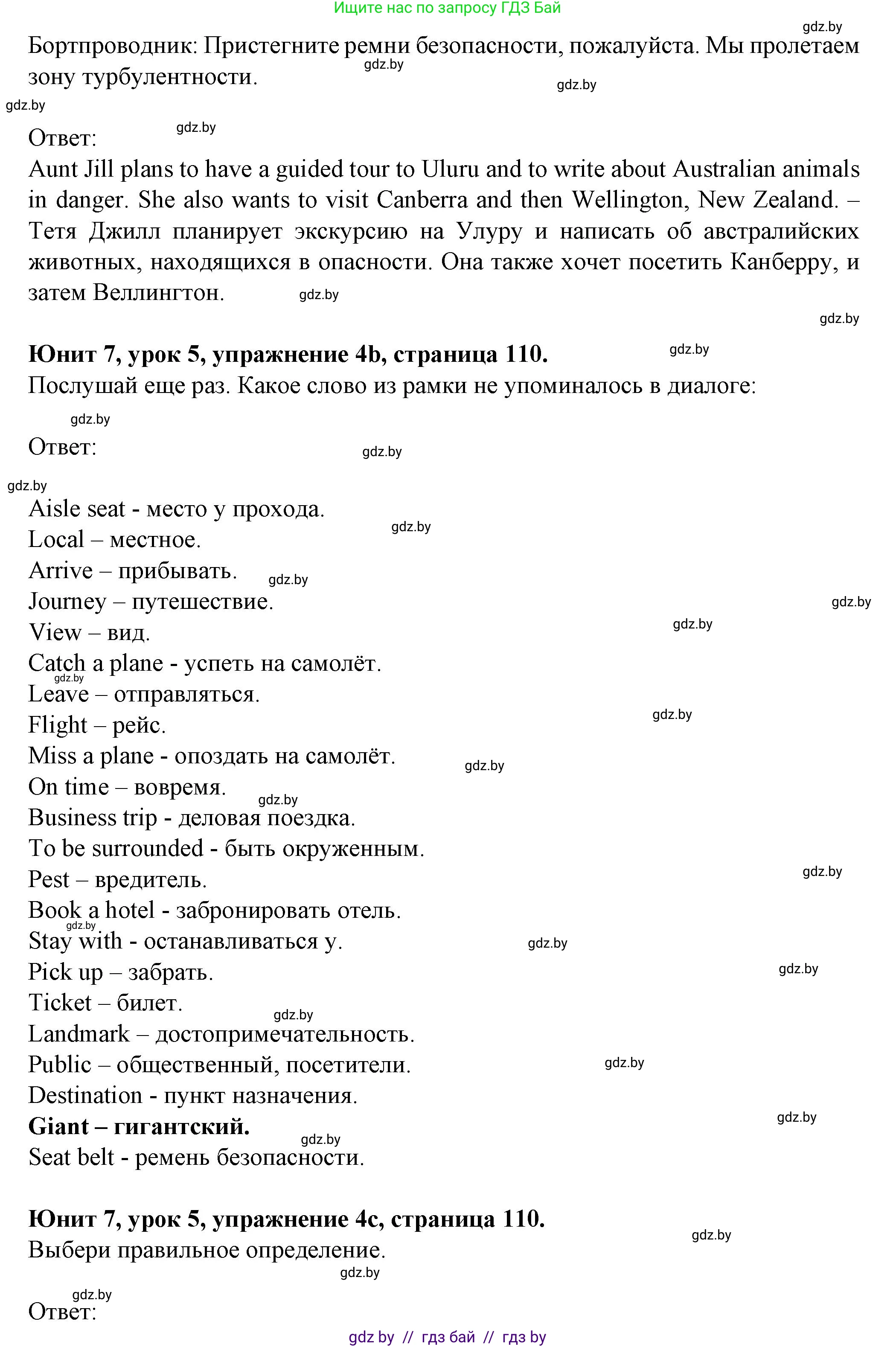 Английский язык (english), 7 класс Учебник (Student's book), авторы: Демченко Наталья Валентиновна, Севрюкова Татьяна Юрьевна, Юхнель Наталья Валентиновна, Наумова Елена Георгиевна, Манешина А В, Маслёнченко Н А, издательство Вышэйшая школа, Минск, 2019, оранжевого цвета, Часть ( Part) 2, страница 110, номер 4, Решение (продолжение 3)