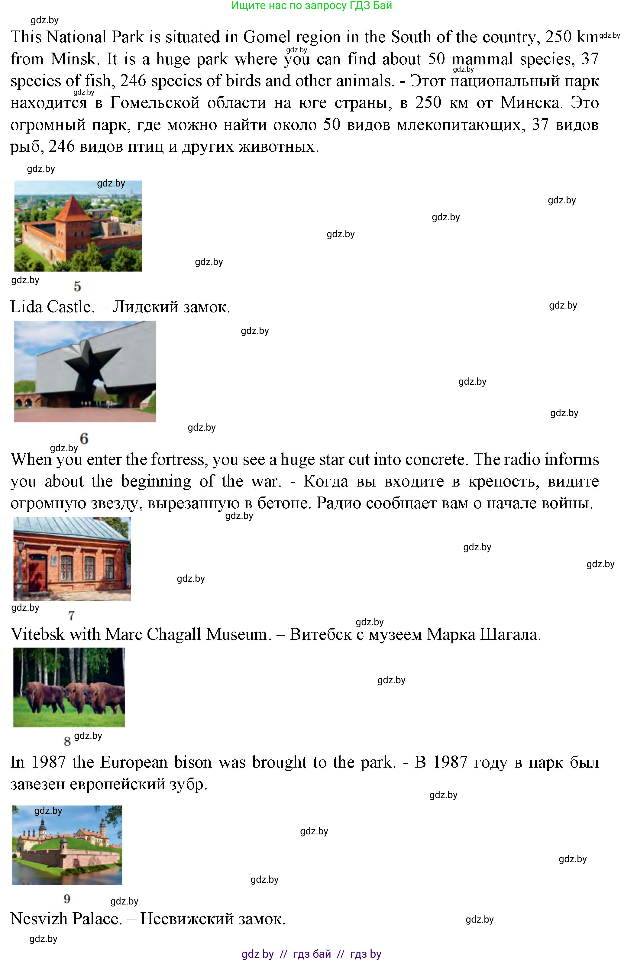 Английский язык (english), 7 класс Учебник (Student's book), авторы: Демченко Наталья Валентиновна, Севрюкова Татьяна Юрьевна, Юхнель Наталья Валентиновна, Наумова Елена Георгиевна, Манешина А В, Маслёнченко Н А, издательство Вышэйшая школа, Минск, 2019, оранжевого цвета, Часть ( Part) 2, страница 157, номер 2, Решение (продолжение 5)