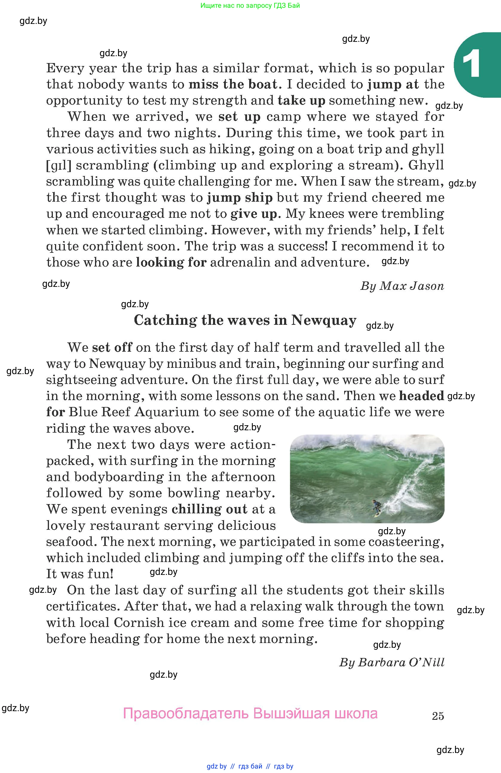 Английский язык (english), 8 класс Учебник, авторы: Демченко Наталья Валентиновна, Севрюкова Татьяна Юрьевна, Наумова Елена Георгиевна, Рыбалко О Н, Манешина А В, Маслёнченко Н А, Бушуева Эдите Владиславовна, издательство Вышэйшая школа, Минск, 2020, розового цвета, страница 25