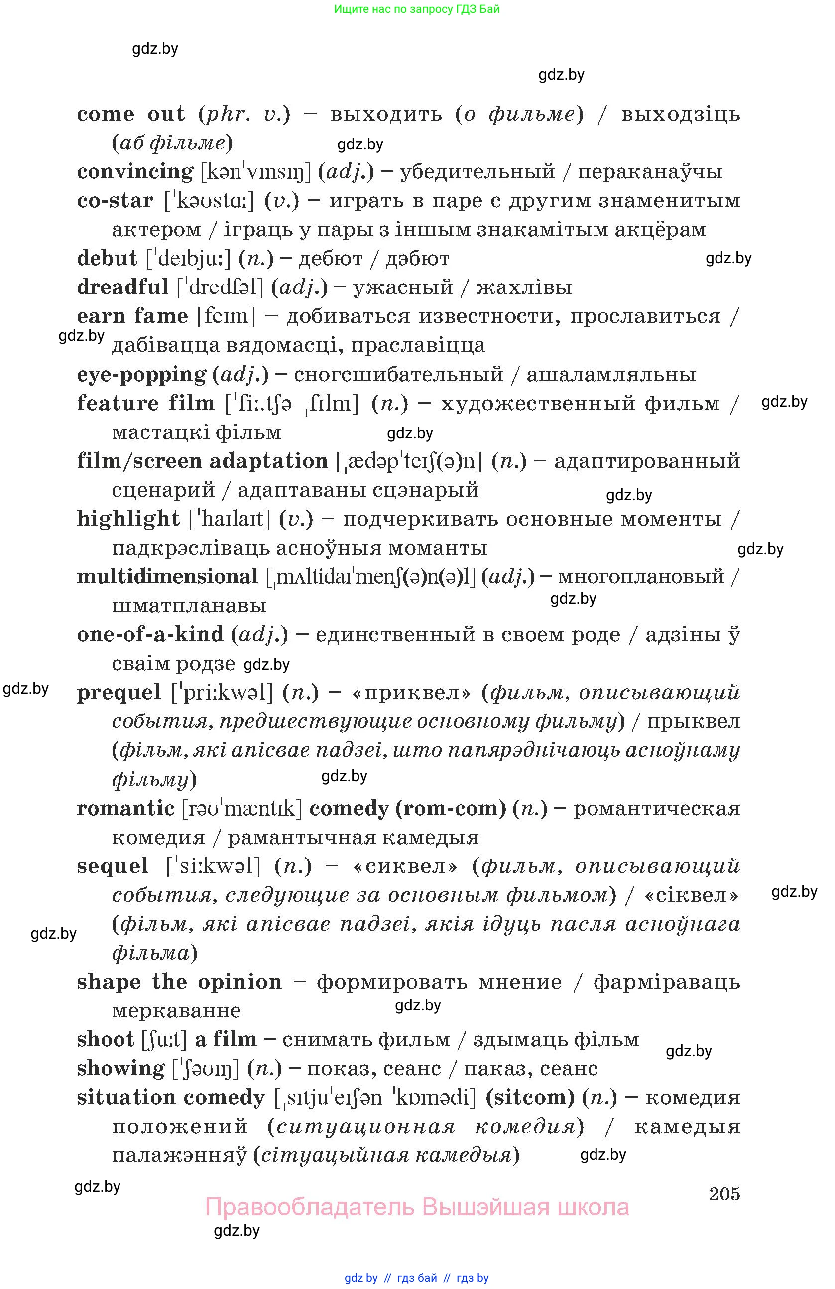 Английский язык (english), 8 класс Учебник, авторы: Демченко Наталья Валентиновна, Севрюкова Татьяна Юрьевна, Наумова Елена Георгиевна, Рыбалко О Н, Манешина А В, Маслёнченко Н А, Бушуева Эдите Владиславовна, издательство Вышэйшая школа, Минск, 2020, розового цвета, страница 205