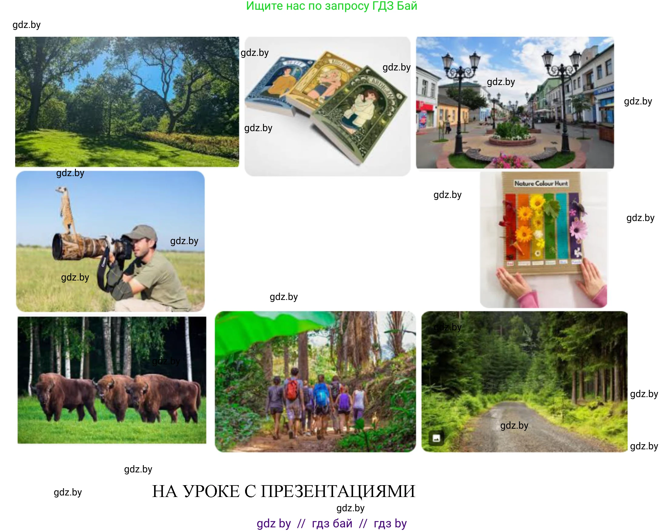 Английский язык (english), 8 класс Учебник, авторы: Демченко Наталья Валентиновна, Севрюкова Татьяна Юрьевна, Наумова Елена Георгиевна, Рыбалко О Н, Манешина А В, Маслёнченко Н А, Бушуева Эдите Владиславовна, издательство Вышэйшая школа, Минск, 2020, розового цвета, Часть ( Part) 2, страница 67, Решение (продолжение 6)