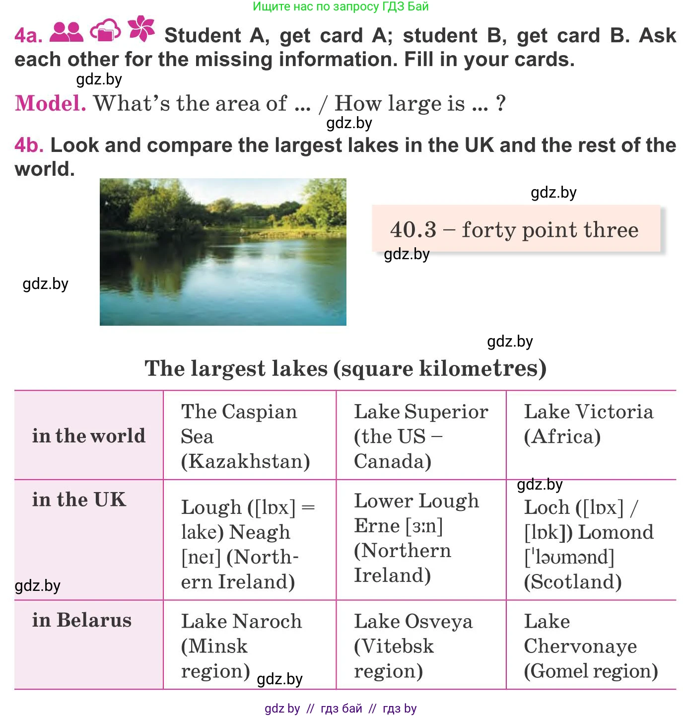 Английский язык (english), 8 класс Учебник, авторы: Лапицкая Людмила Михайловна (Lapitskaya Ludmila), Демченко Наталья Валентиновна, Калишевич Алла Ивановна, Юхнель Наталья Валентиновна, Волков Андрей Валерьевич, Севрюкова Татьяна Юрьевна, издательство Вышэйшая школа, Минск, 2021, бирюзового цвета, страница 20, номер 4, Условие