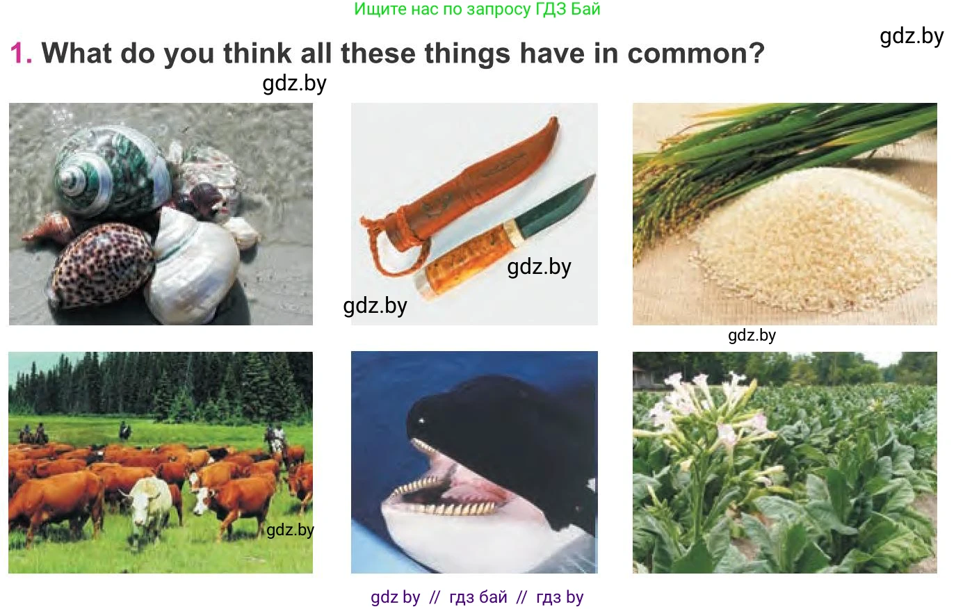 Английский язык (english), 8 класс Учебник, авторы: Лапицкая Людмила Михайловна (Lapitskaya Ludmila), Демченко Наталья Валентиновна, Калишевич Алла Ивановна, Юхнель Наталья Валентиновна, Волков Андрей Валерьевич, Севрюкова Татьяна Юрьевна, издательство Вышэйшая школа, Минск, 2021, бирюзового цвета, страница 90, номер 1, Условие