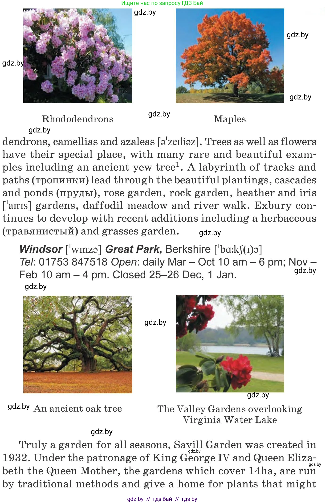 Английский язык (english), 8 класс Учебник, авторы: Лапицкая Людмила Михайловна (Lapitskaya Ludmila), Демченко Наталья Валентиновна, Калишевич Алла Ивановна, Юхнель Наталья Валентиновна, Волков Андрей Валерьевич, Севрюкова Татьяна Юрьевна, издательство Вышэйшая школа, Минск, 2021, бирюзового цвета, страница 160, номер 2, Условие (продолжение 2)