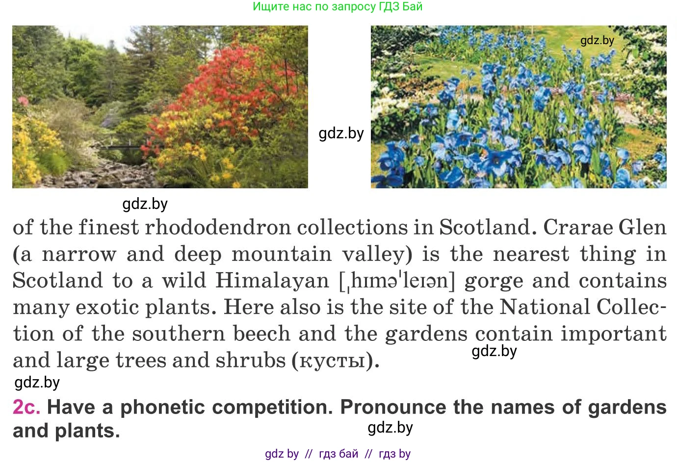 Английский язык (english), 8 класс Учебник, авторы: Лапицкая Людмила Михайловна (Lapitskaya Ludmila), Демченко Наталья Валентиновна, Калишевич Алла Ивановна, Юхнель Наталья Валентиновна, Волков Андрей Валерьевич, Севрюкова Татьяна Юрьевна, издательство Вышэйшая школа, Минск, 2021, бирюзового цвета, страница 160, номер 2, Условие (продолжение 4)