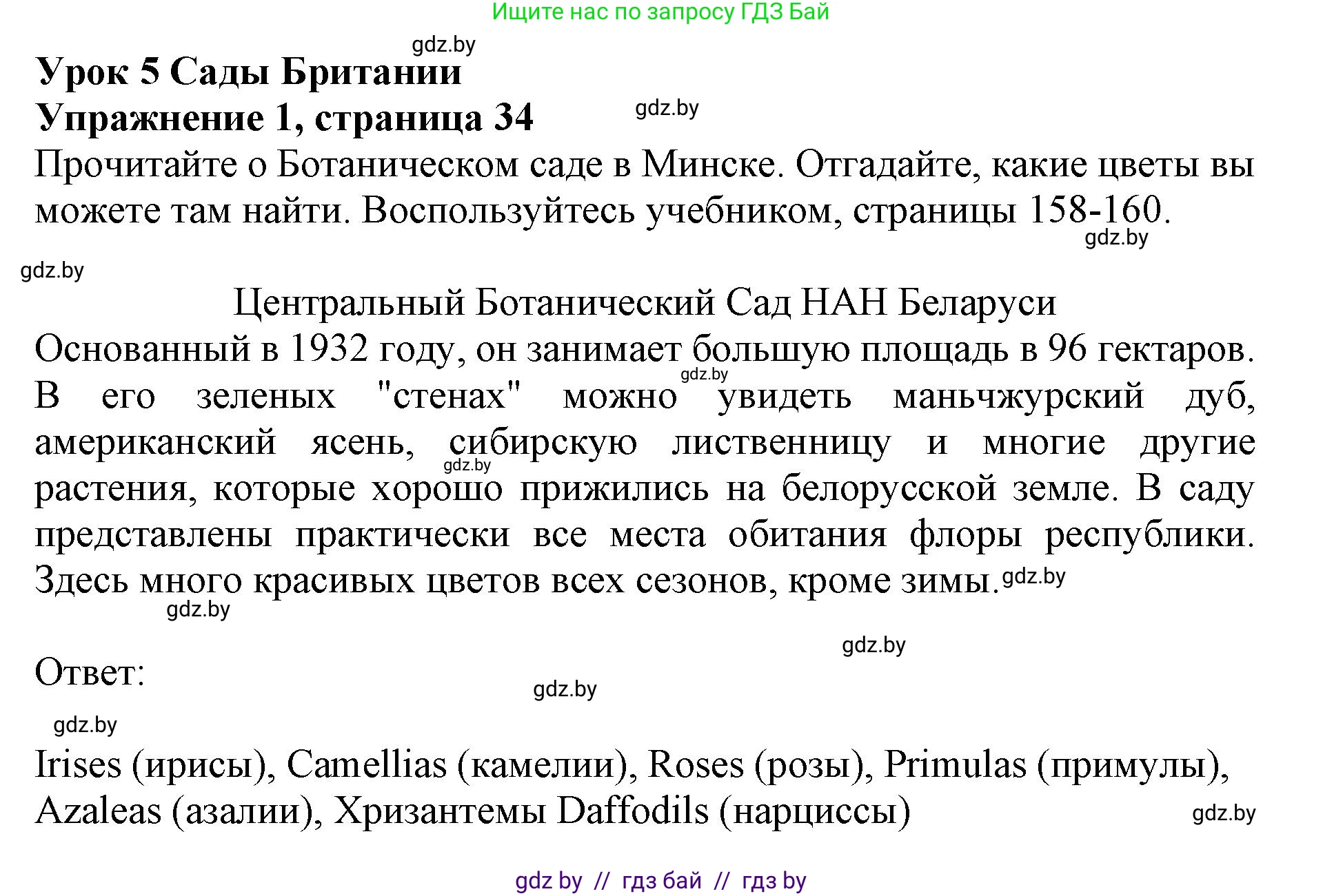 Английский язык (english), 8 класс рабочая тетрадь (activity book), авторы: Лапицкая Людмила Михайловна (Lapitskaya Ludmila), Демченко Наталья Валентиновна, Калишевич Алла Ивановна, Юхнель Наталья Валентиновна, Волков Андрей Валерьевич, Севрюкова Татьяна Юрьевна, издательство Аверсэв, Минск, 2021, салатового цвета, Часть ( Part) 2, страница 34, номер 1, Решение 1