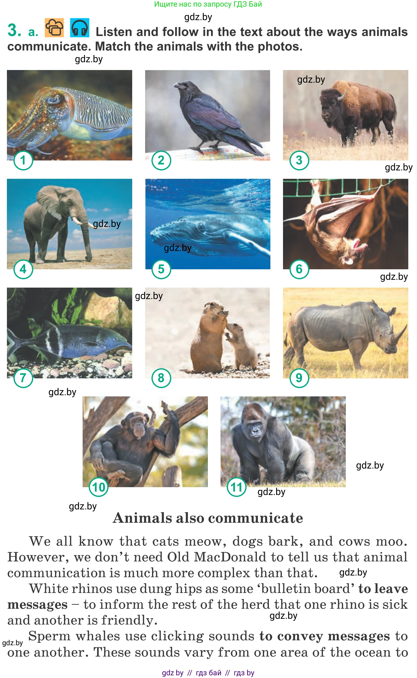 Английский язык (english), 9 класс Учебник (Student's book), авторы: Демченко Наталья Валентиновна, Юхнель Наталья Валентиновна, Романчук Вероника Романовна, Малиновская Елена Александровна, Севрюкова Татьяна Юрьевна, издательство Вышэйшая школа, Минск, 2022, белого цвета, Часть ( Part) 2, страница 126, номер 3, Условие