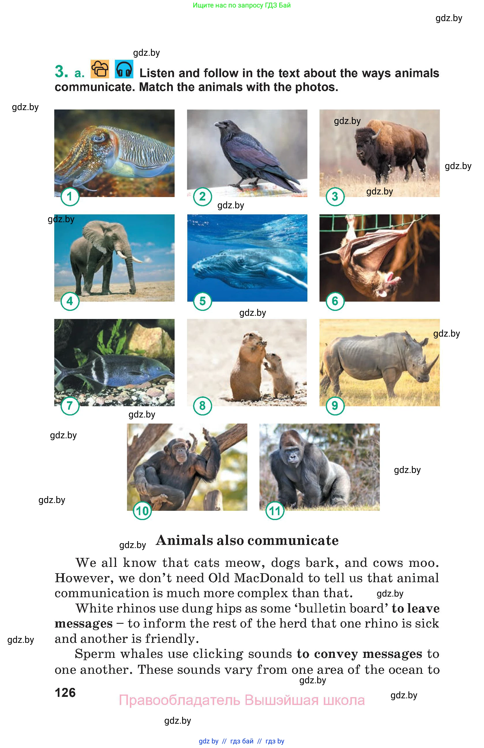 Английский язык (english), 9 класс Учебник (Student's book), авторы: Демченко Наталья Валентиновна, Юхнель Наталья Валентиновна, Романчук Вероника Романовна, Малиновская Елена Александровна, Севрюкова Татьяна Юрьевна, издательство Вышэйшая школа, Минск, 2022, белого цвета, Часть ( Part) 2, страница 126